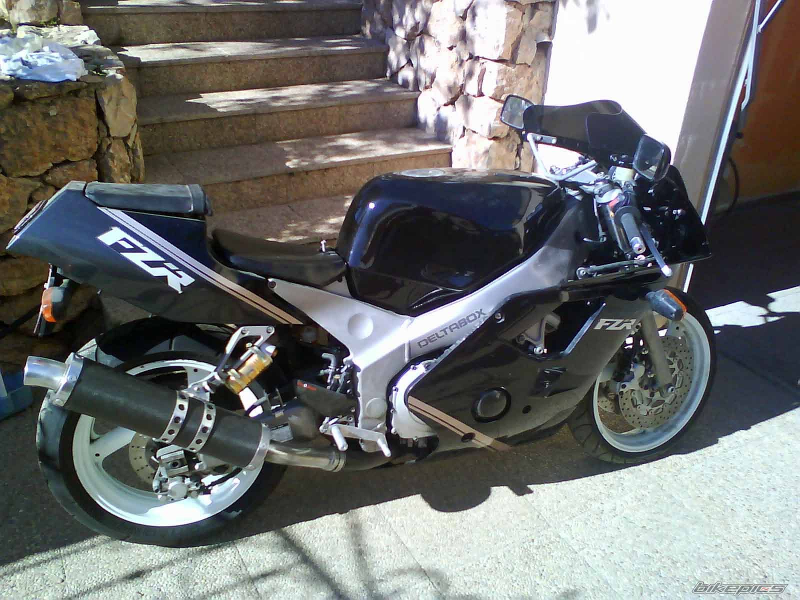Photo 1558292