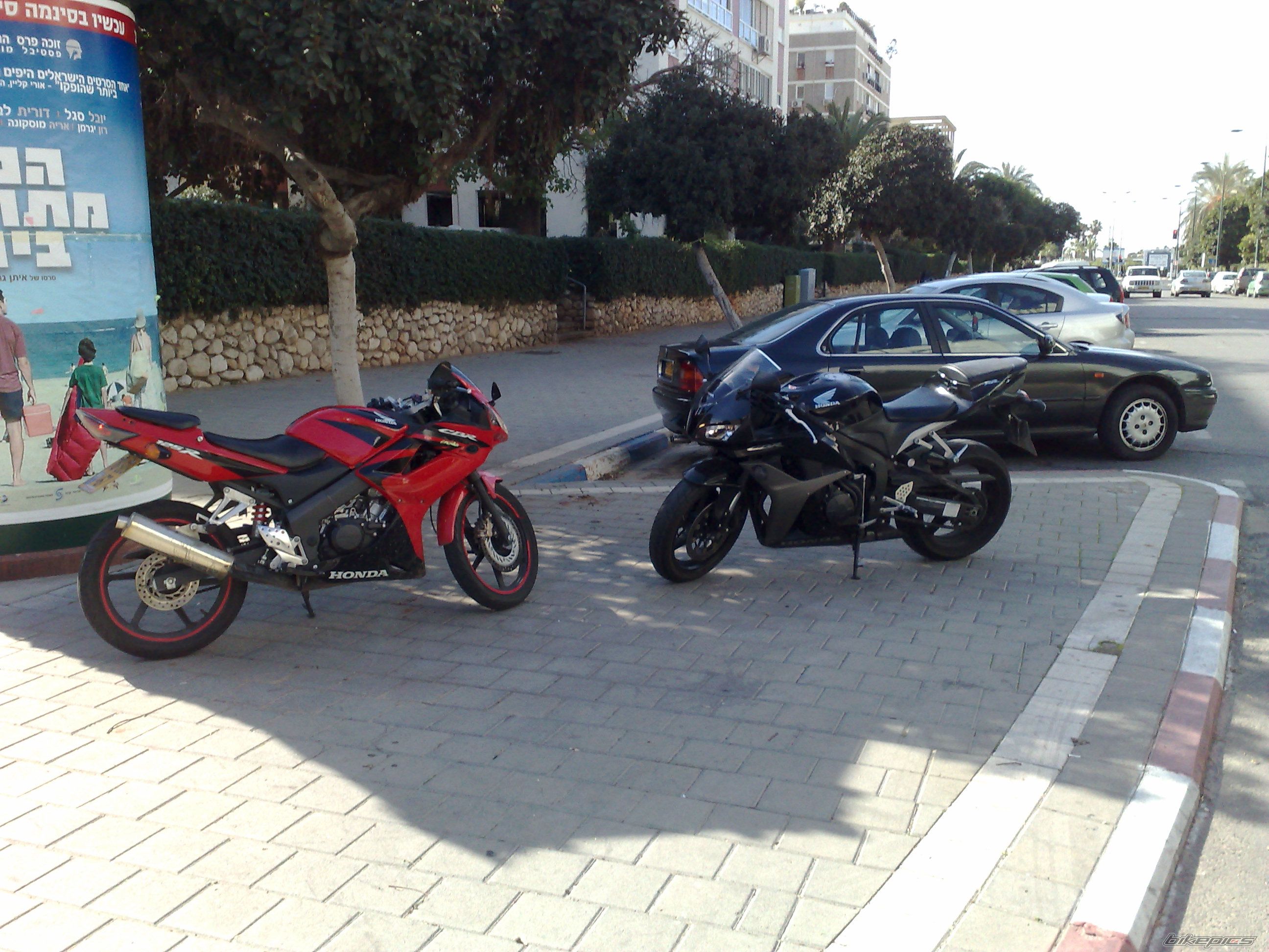 Photo 1558293