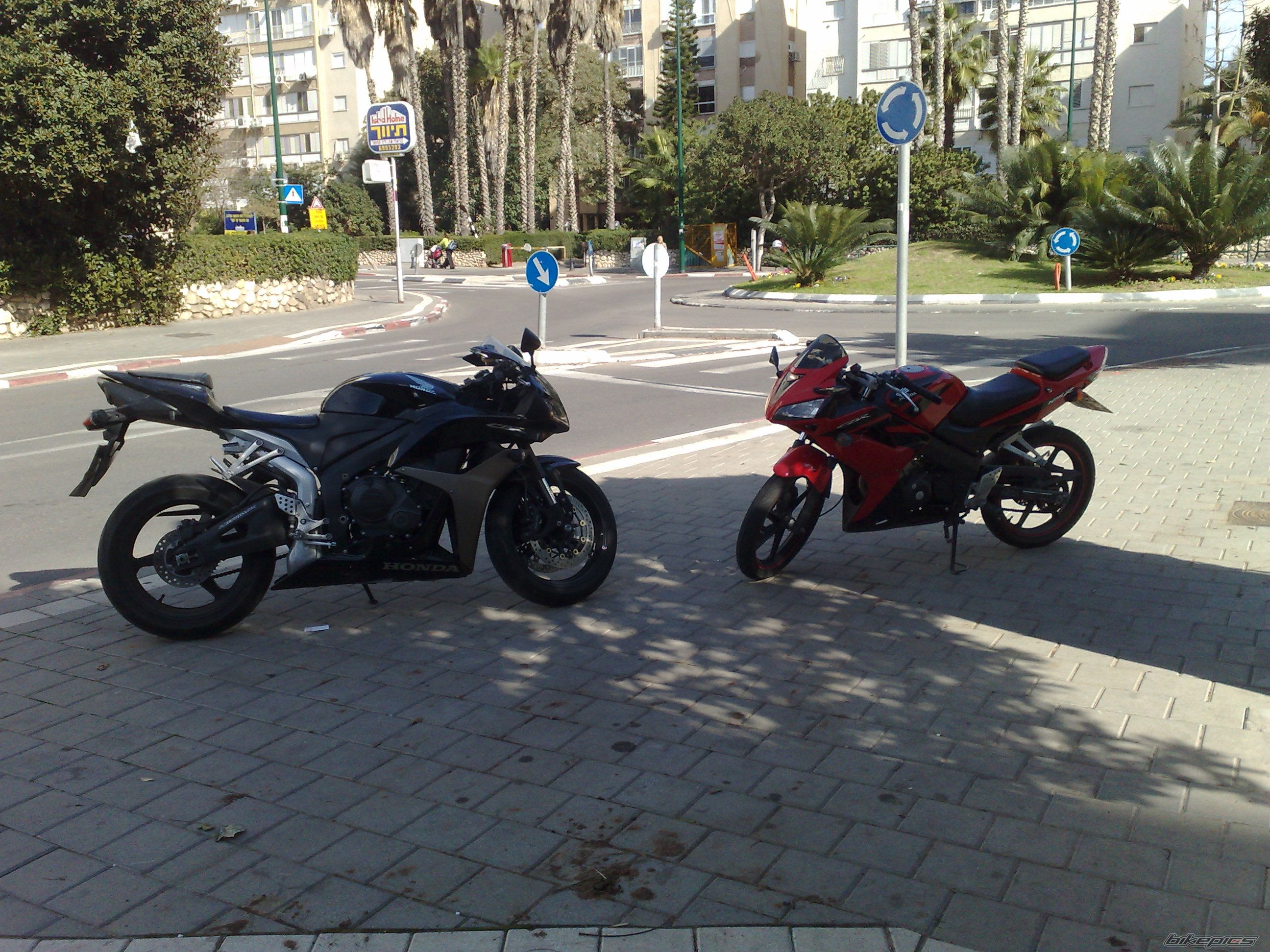 Photo 1558295