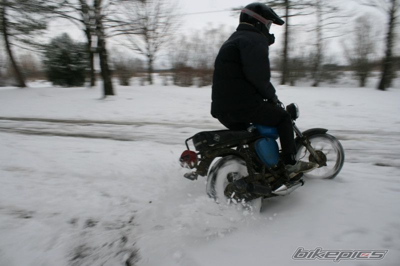 Photo 1558354
