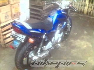 Photo 1558365