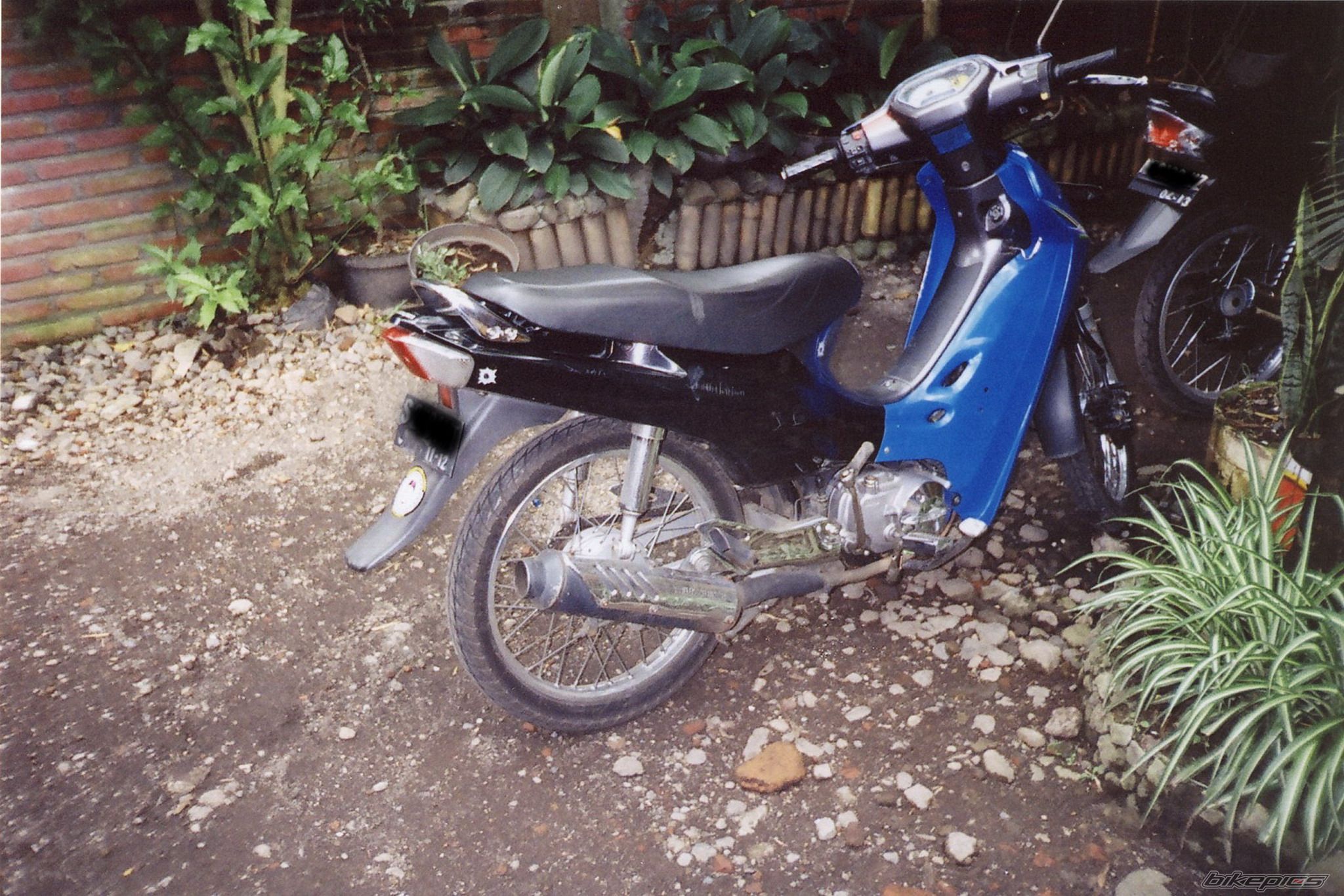 Photo 1558379