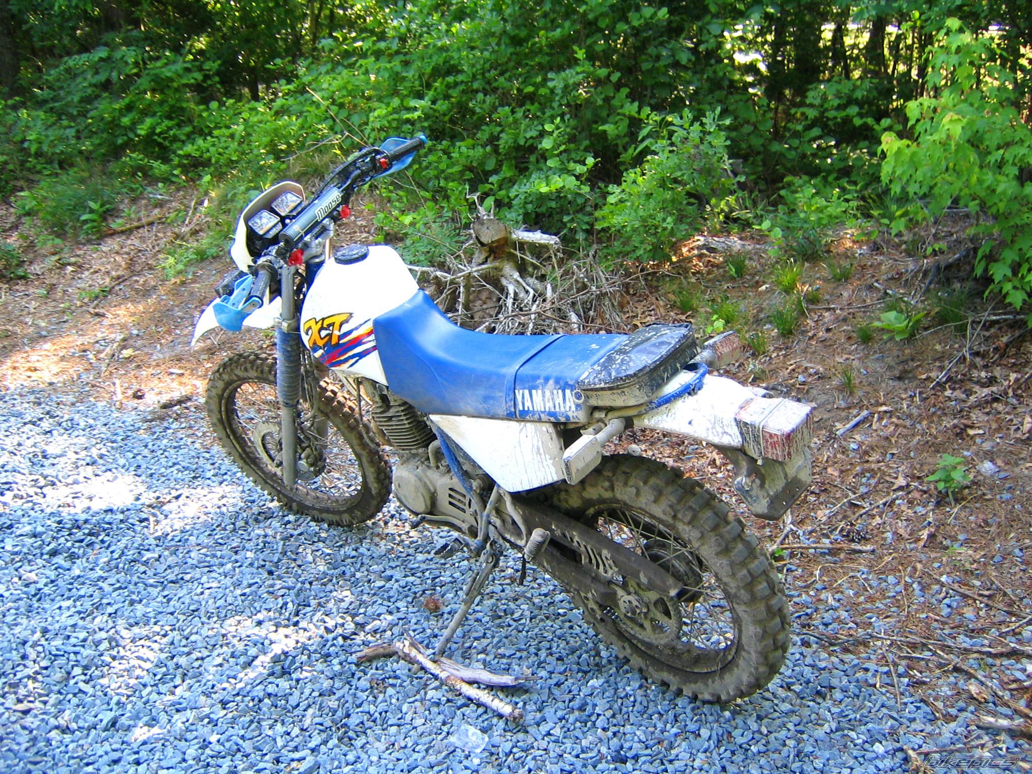 Photo 155838