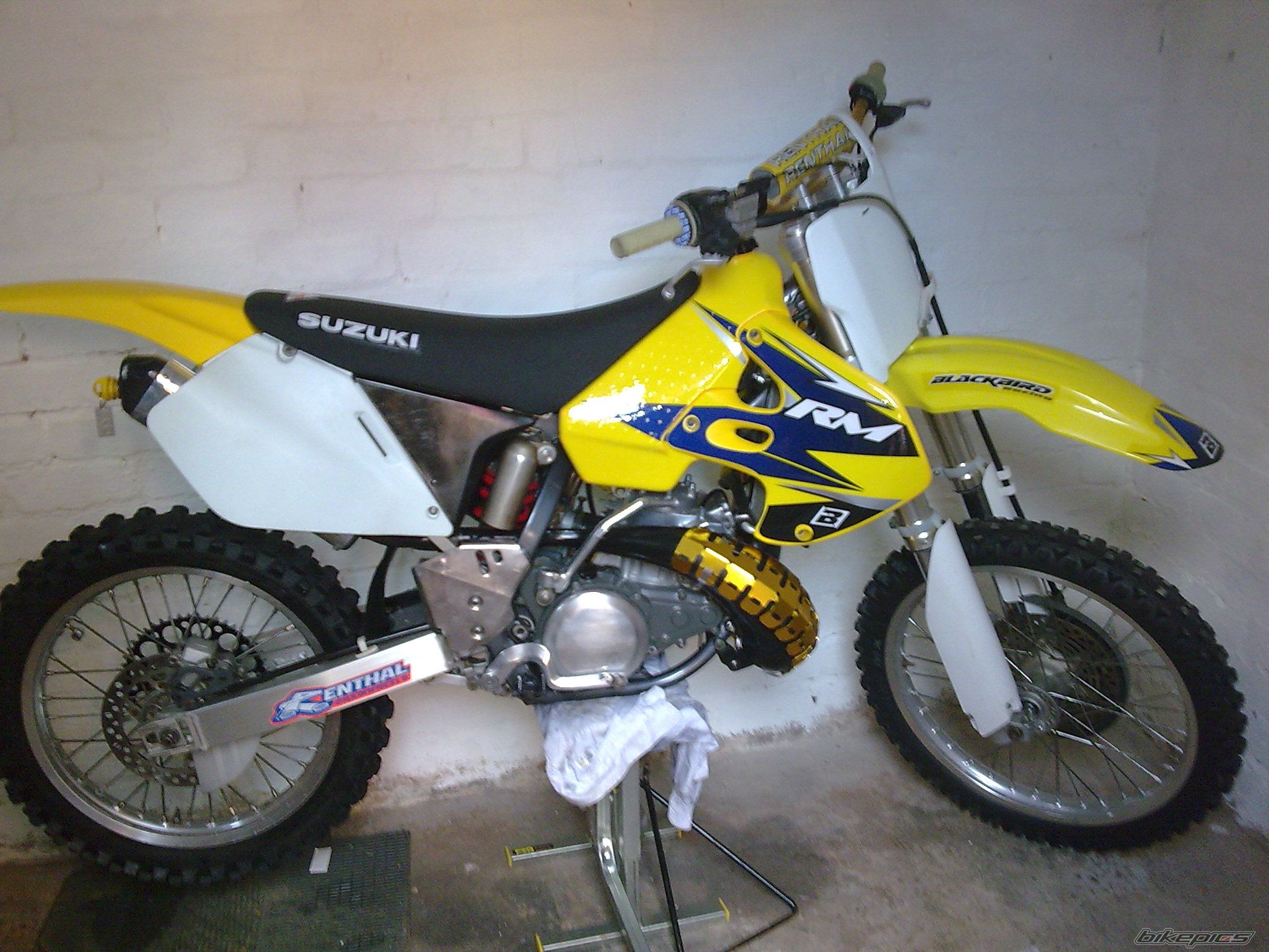 Photo 1558428
