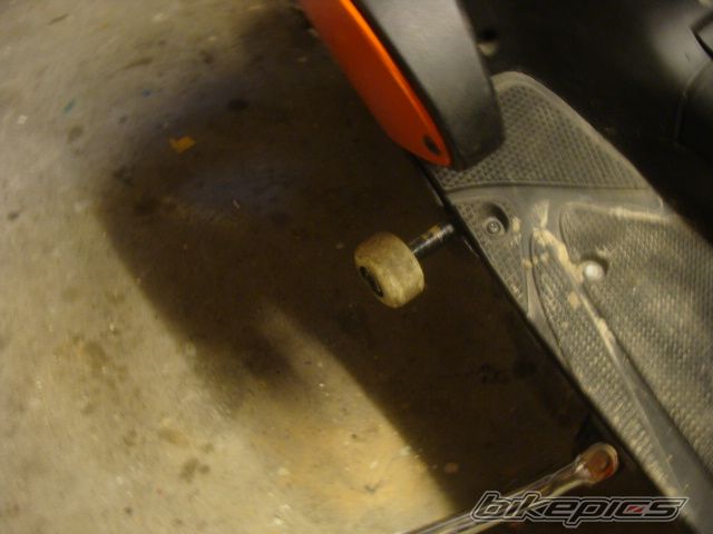 Photo 1558449