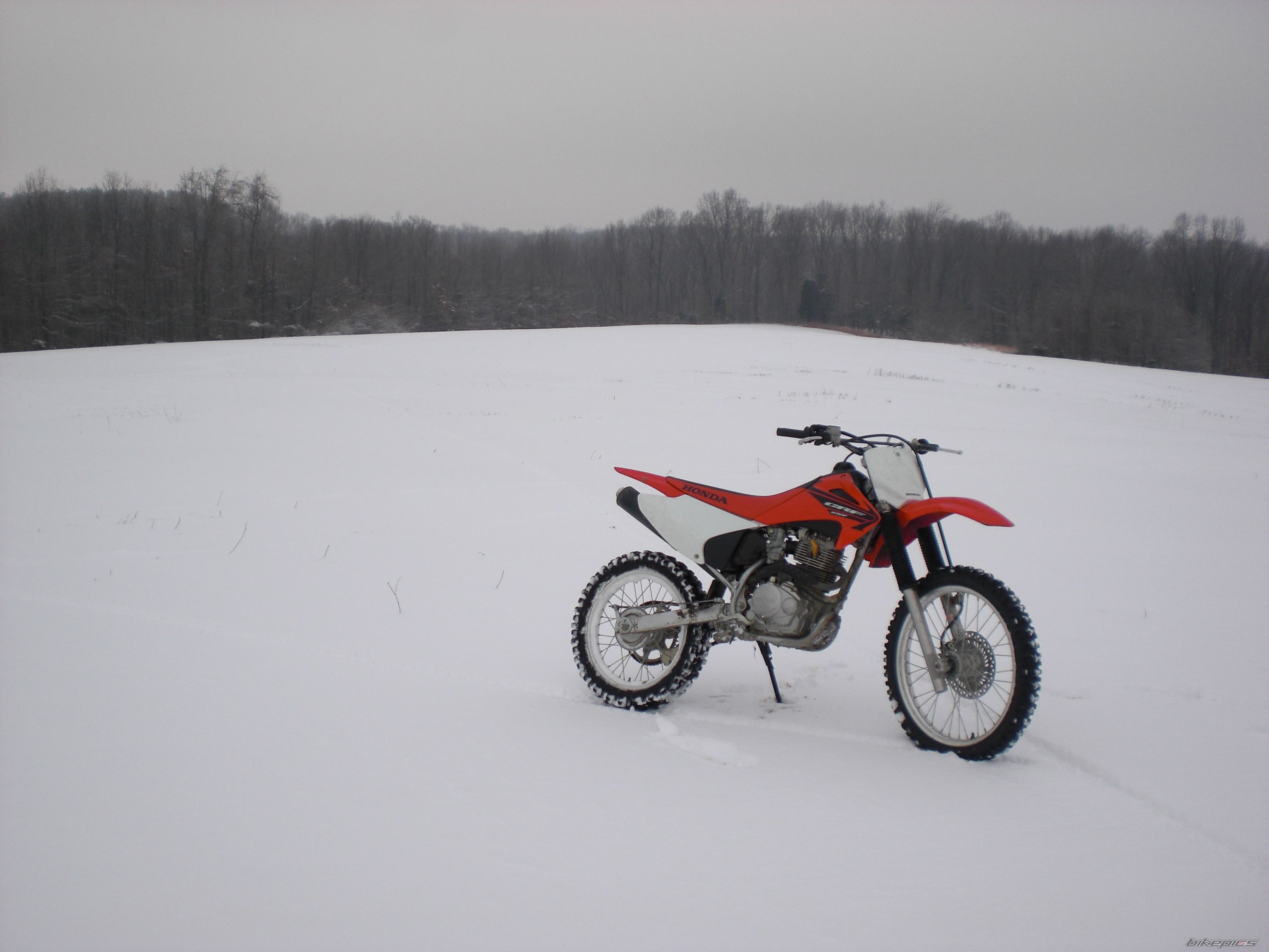 Photo 1558482