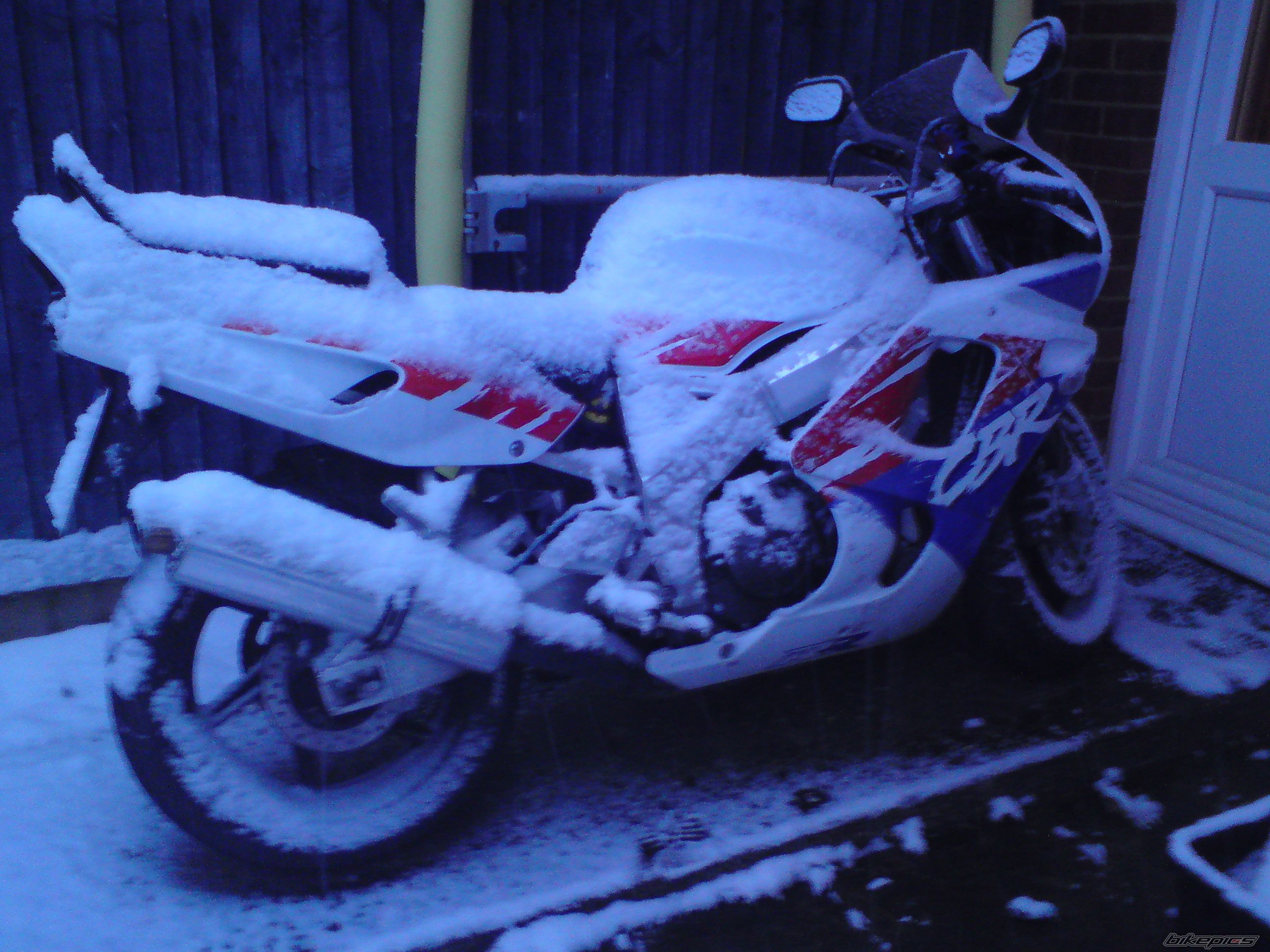 Photo 1558504
