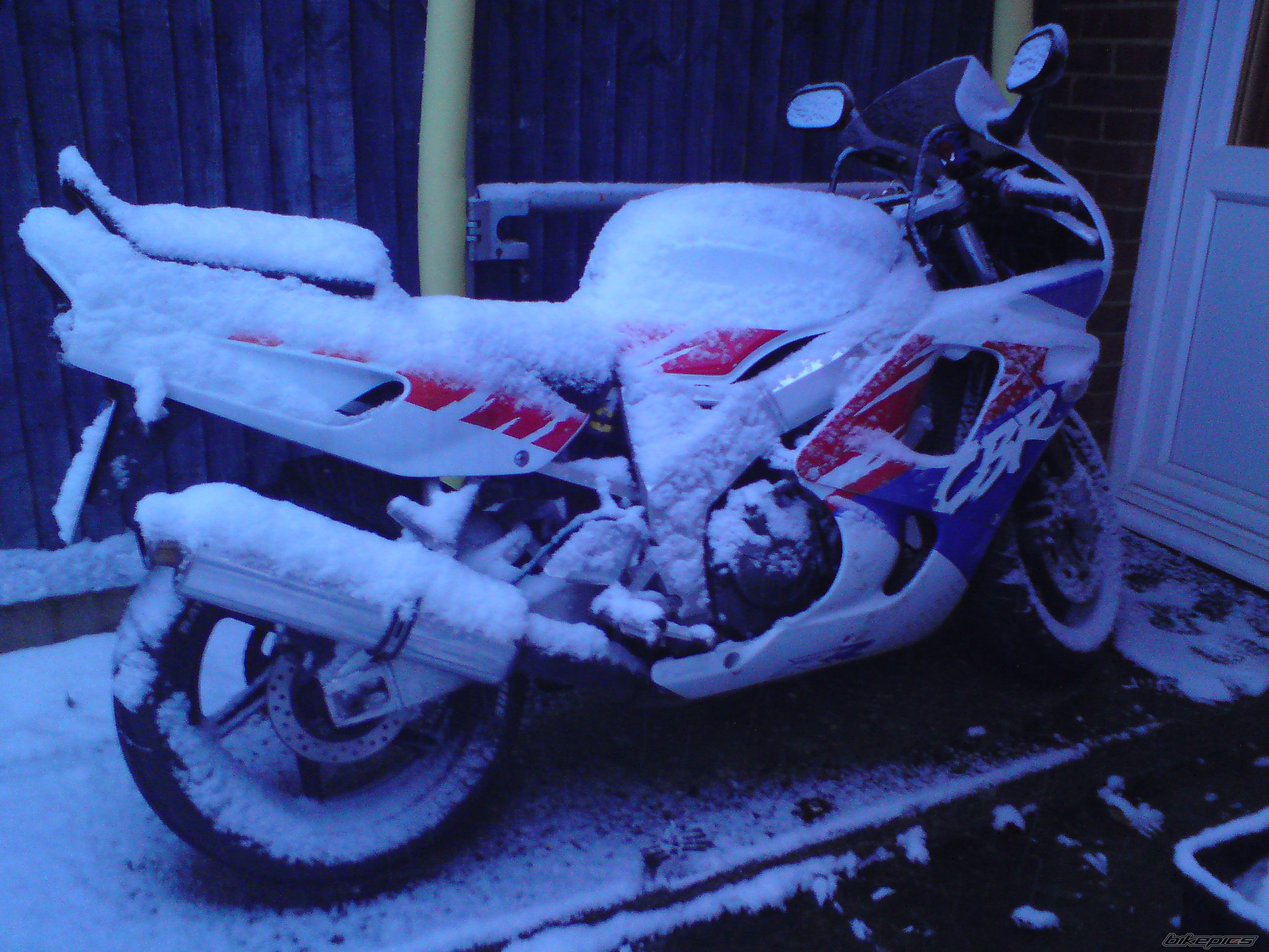 Photo 1558505