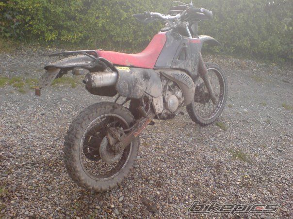 Bike Photo 1558512
