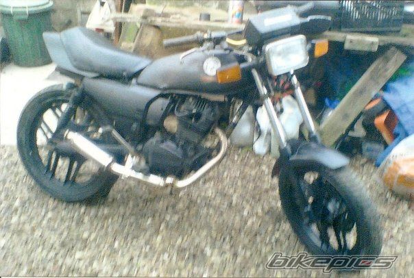 Photo 1558525