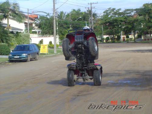Photo 155854