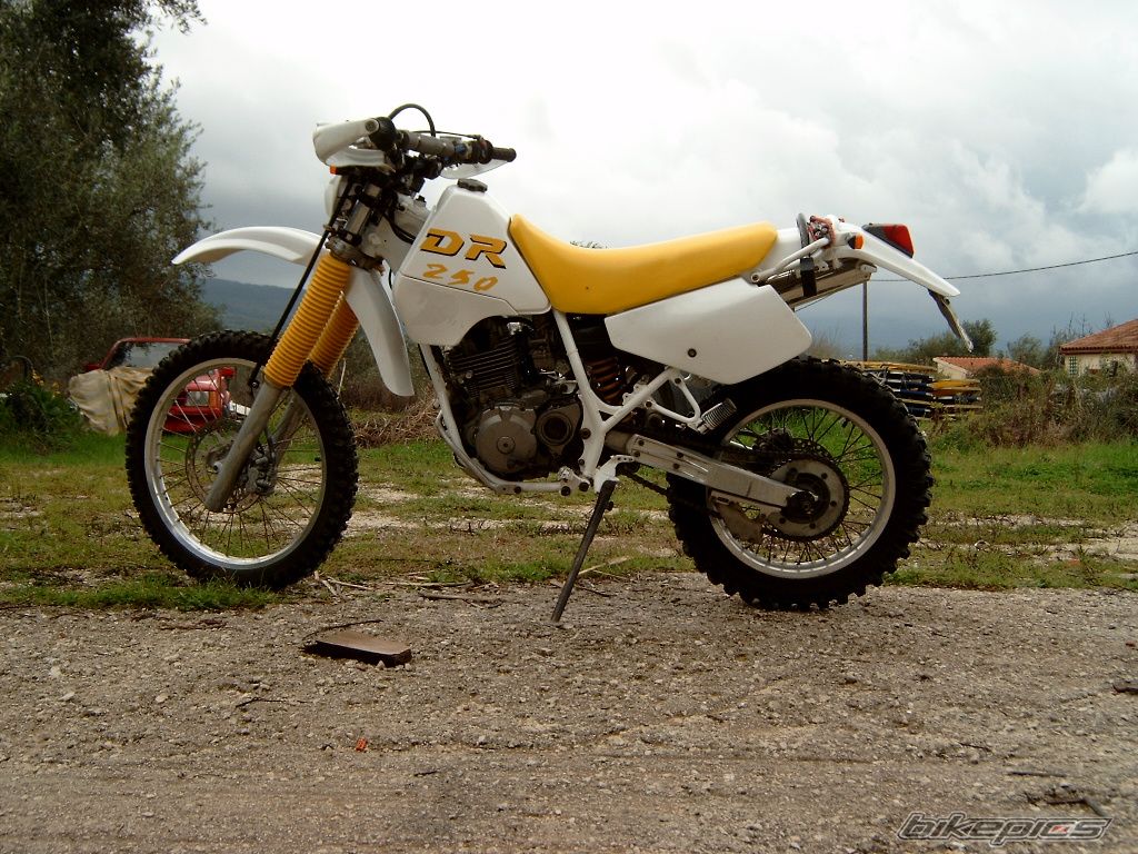 Photo 1558601