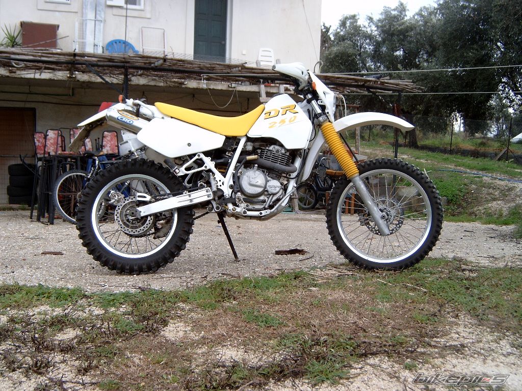 Photo 1558603