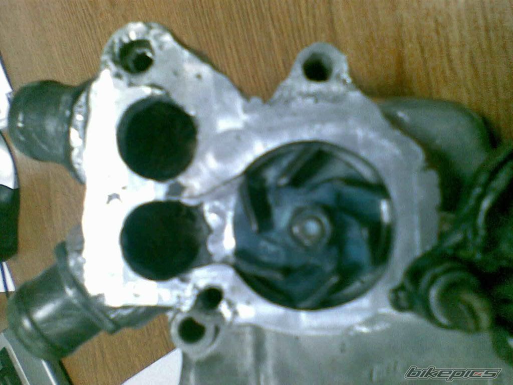 Bike Photo 1558702