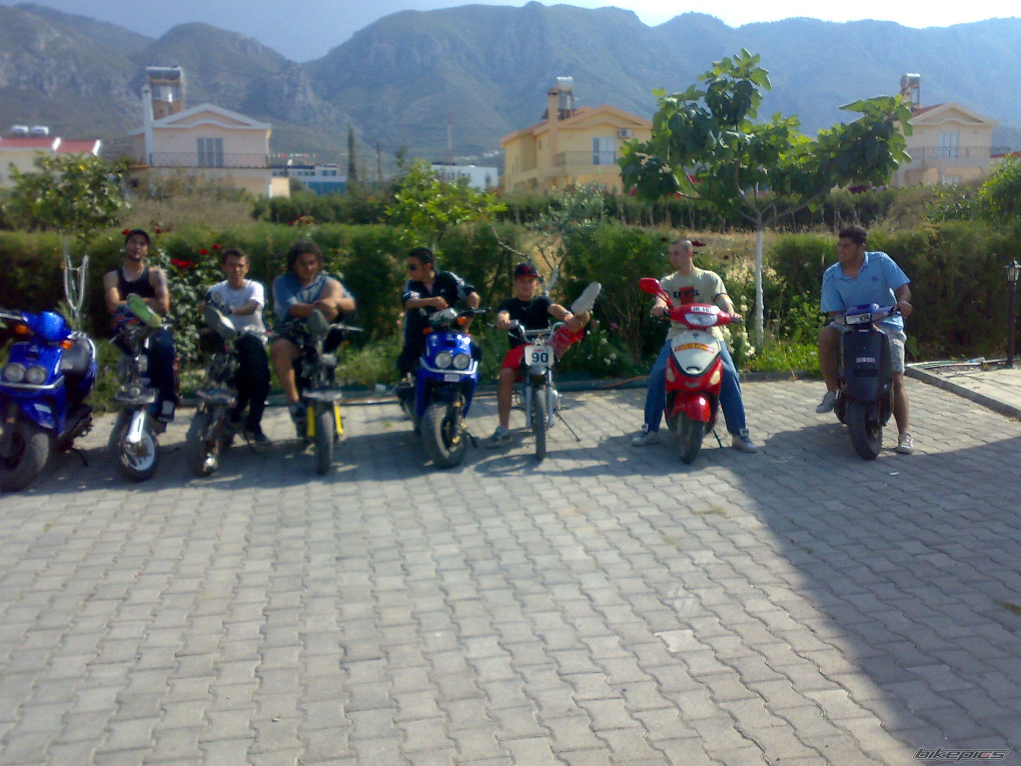 Photo 1558711