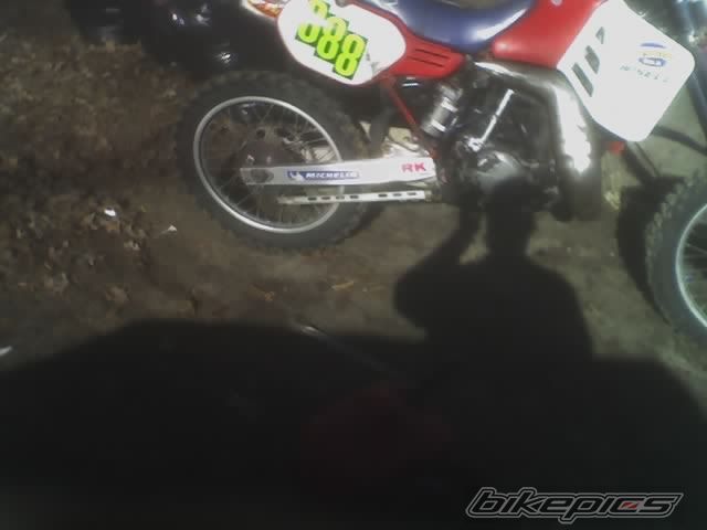 Photo 1558729