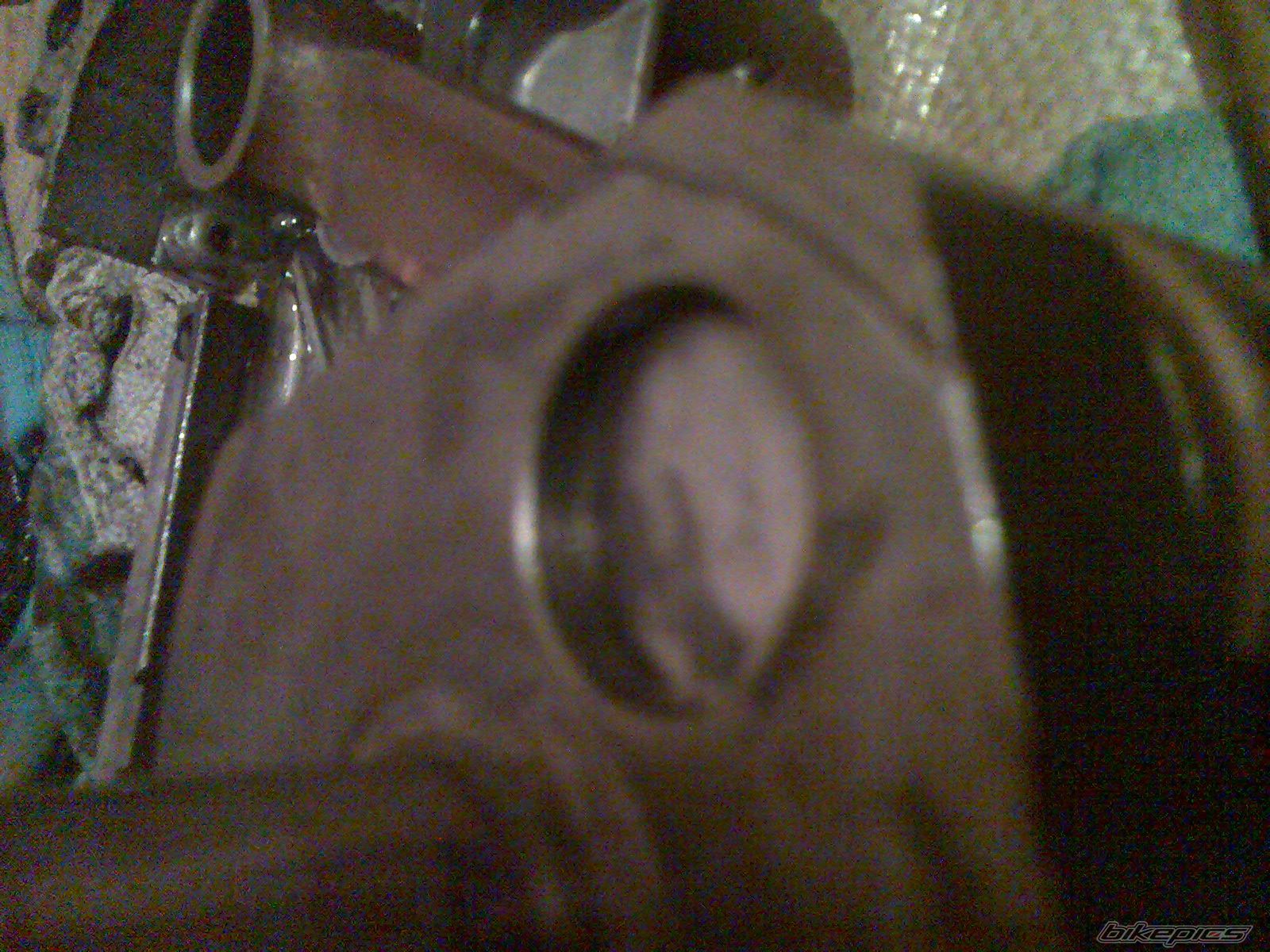 Photo 1558746