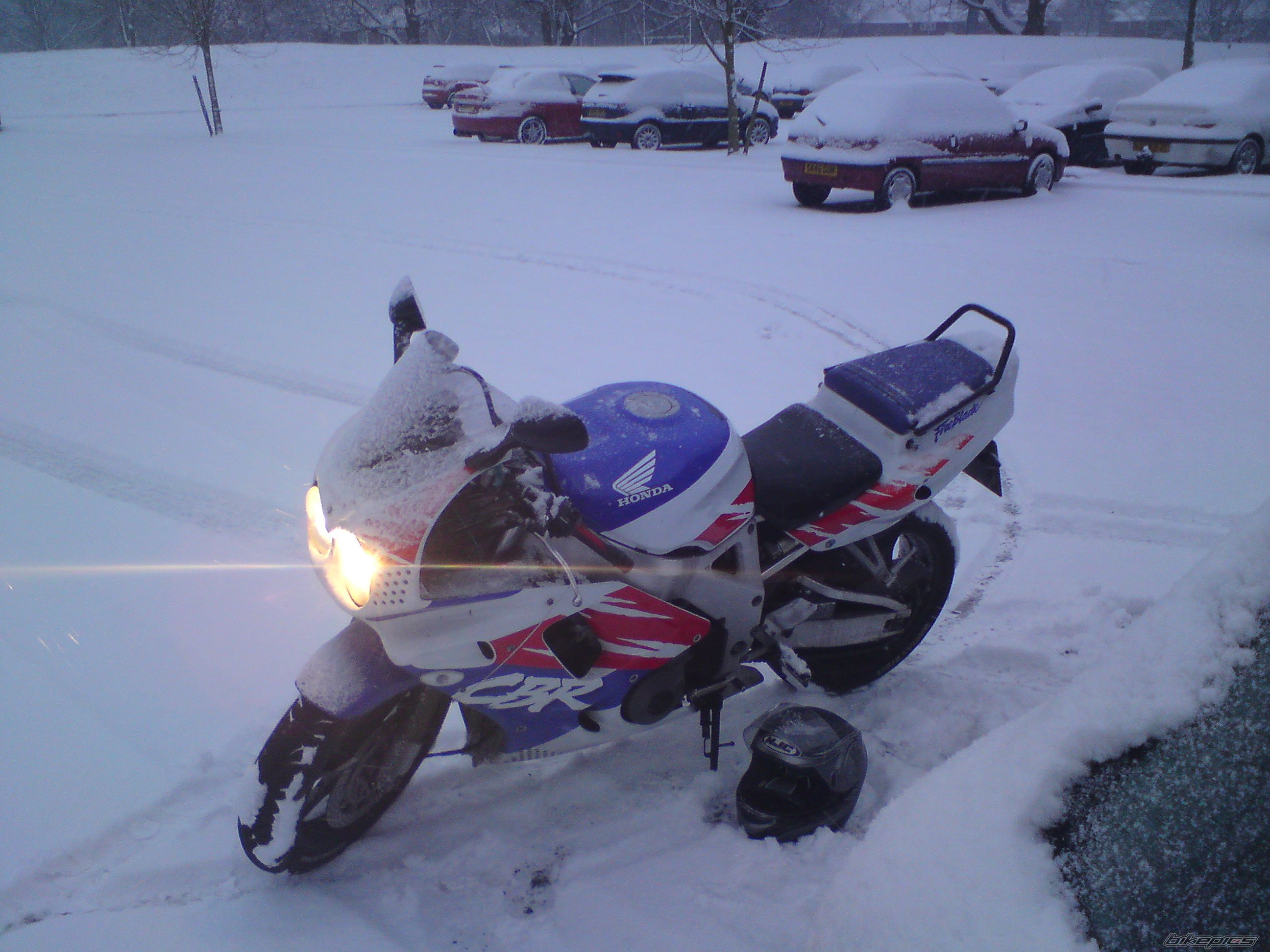 Photo 1558754