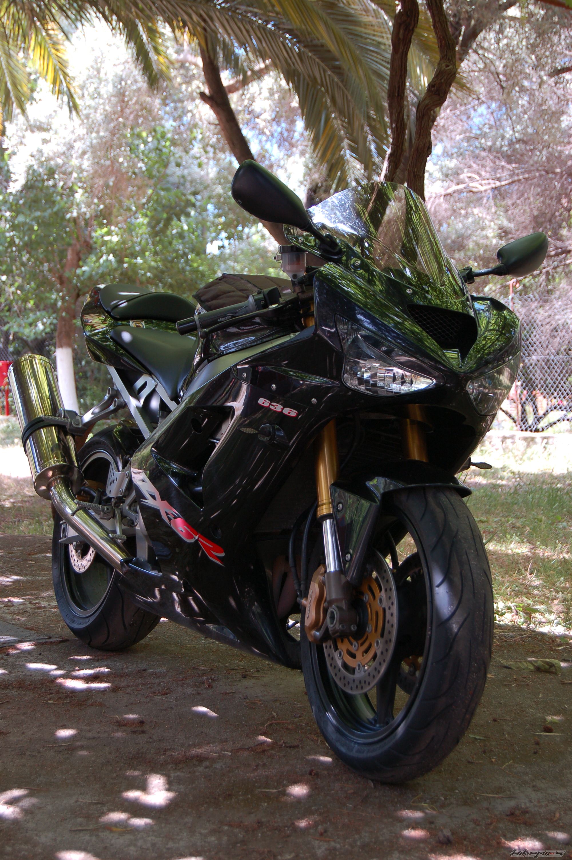 Bike Photo 1558779