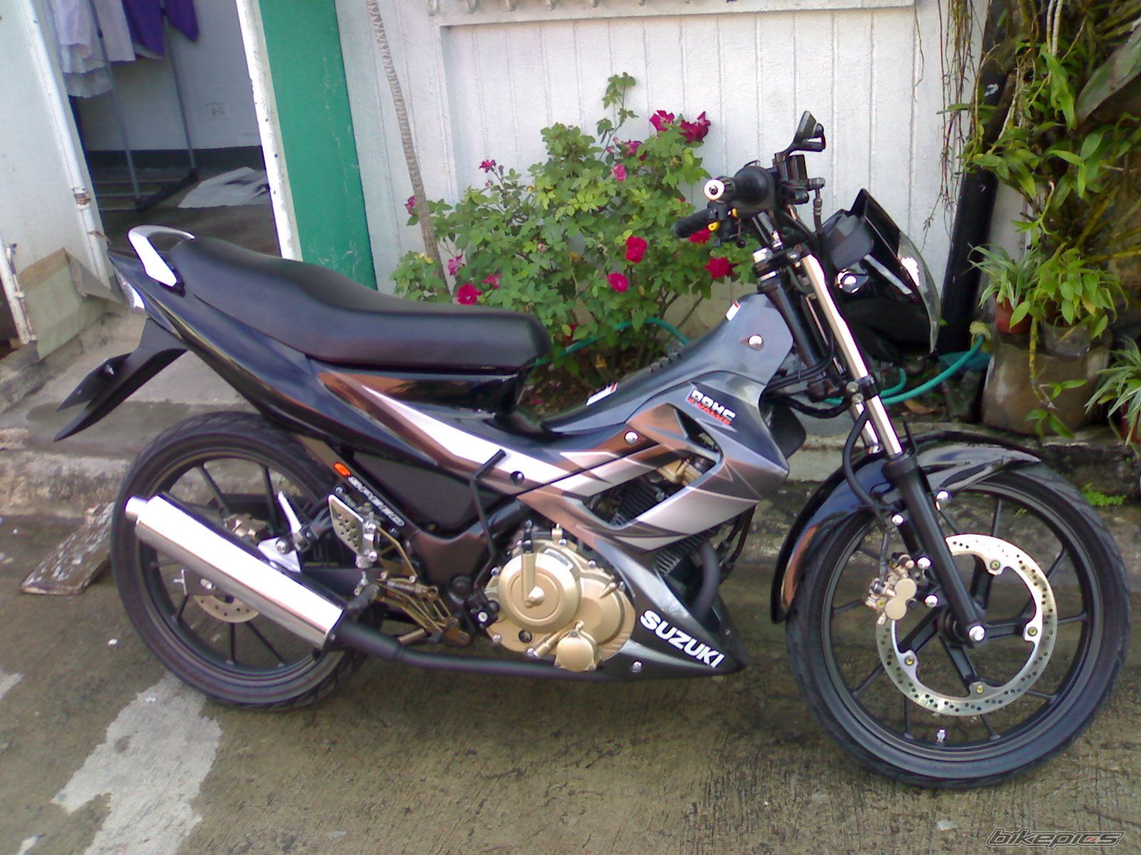 Photo 1558798