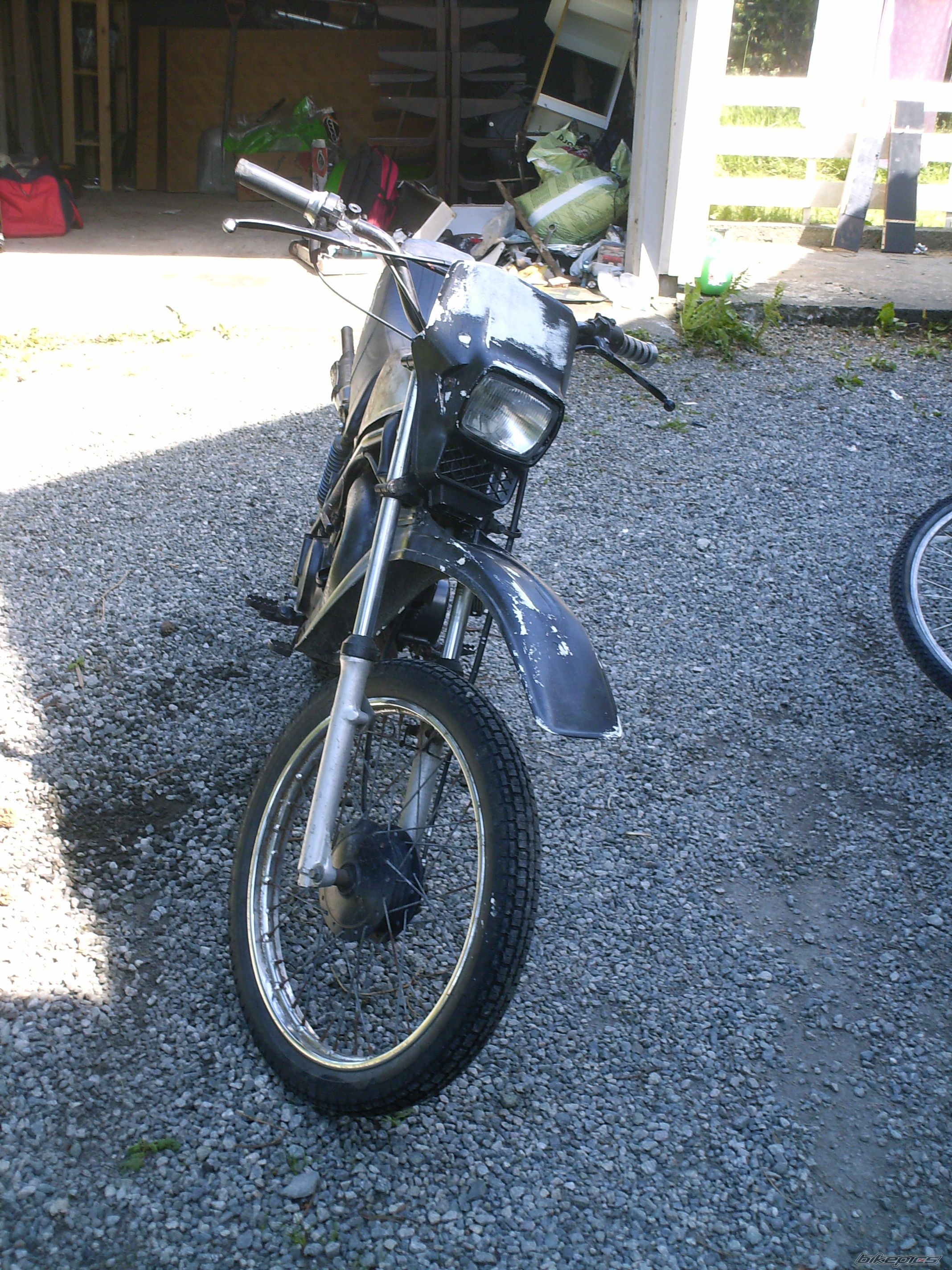 Photo 1558805
