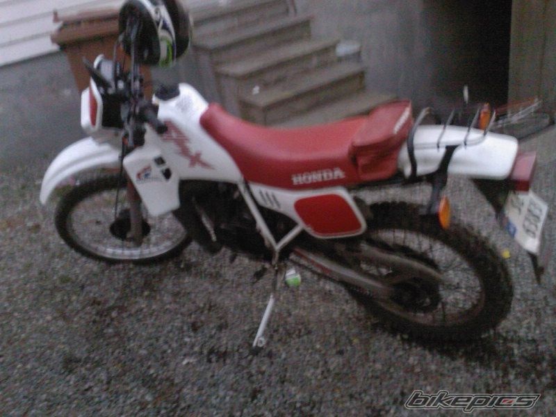 Bike Photo 1558810