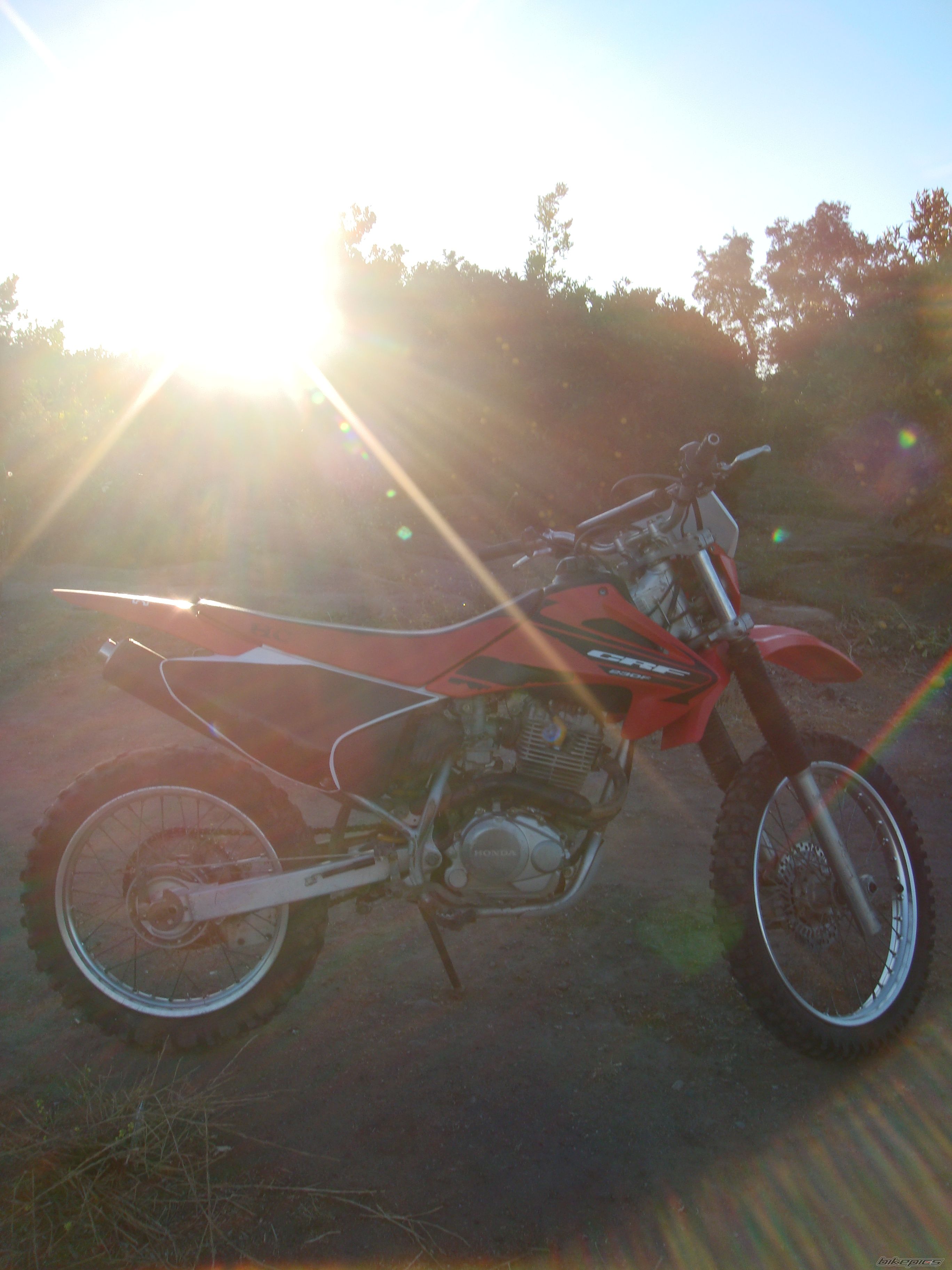 Bike Photo 1558838
