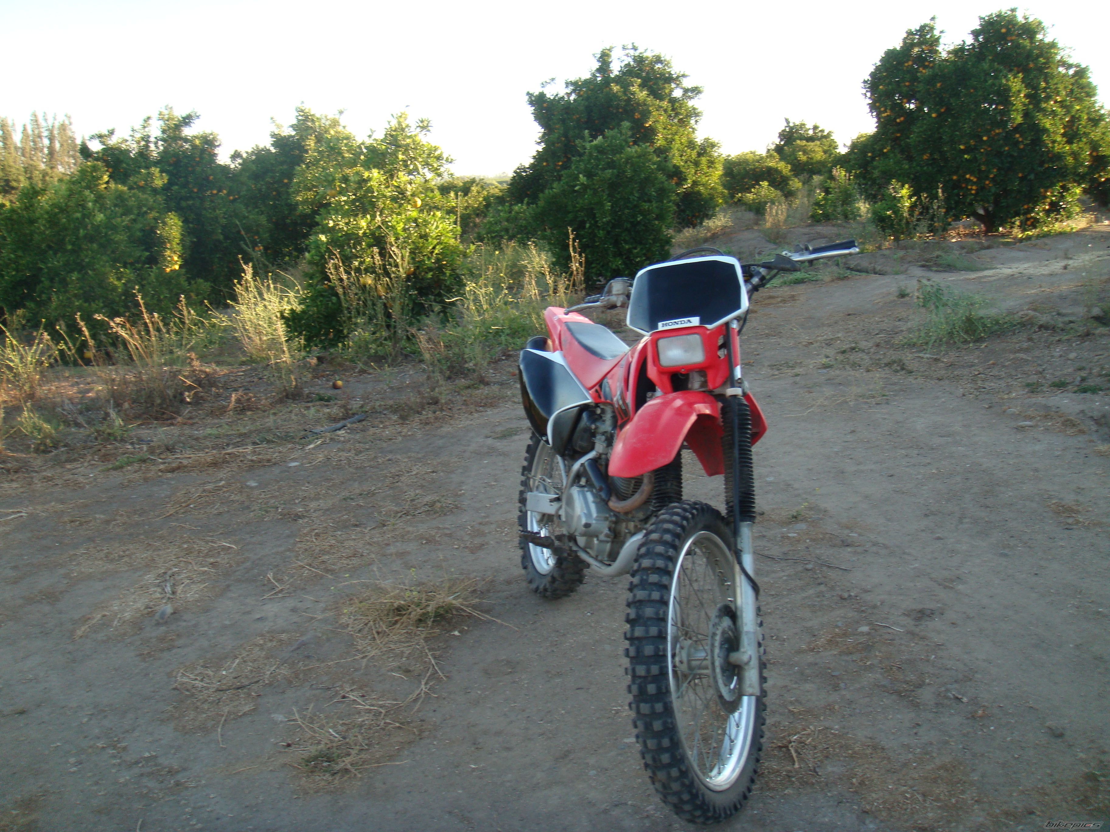 Photo 1558846