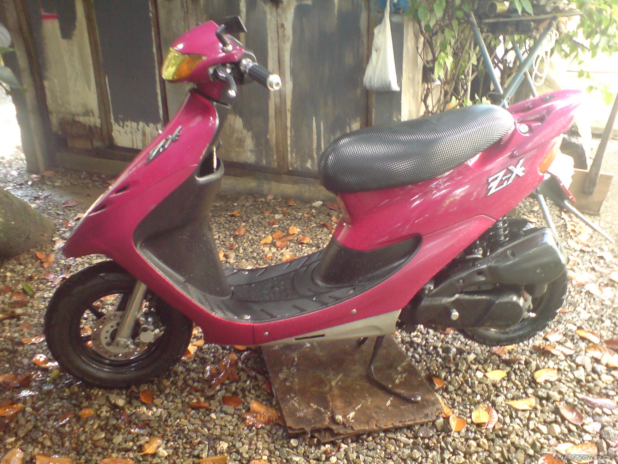 Photo 1558865