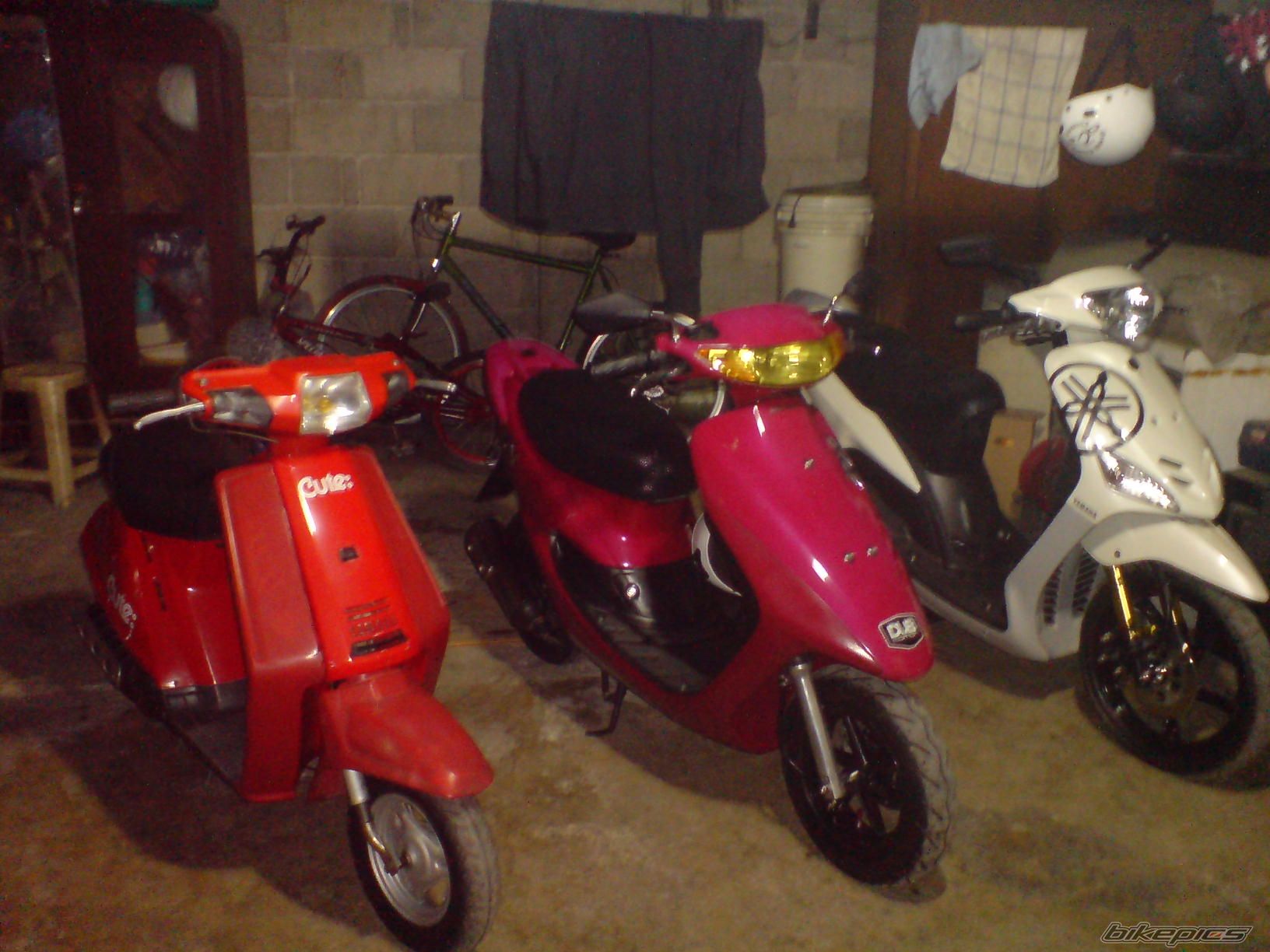 Photo 1558866
