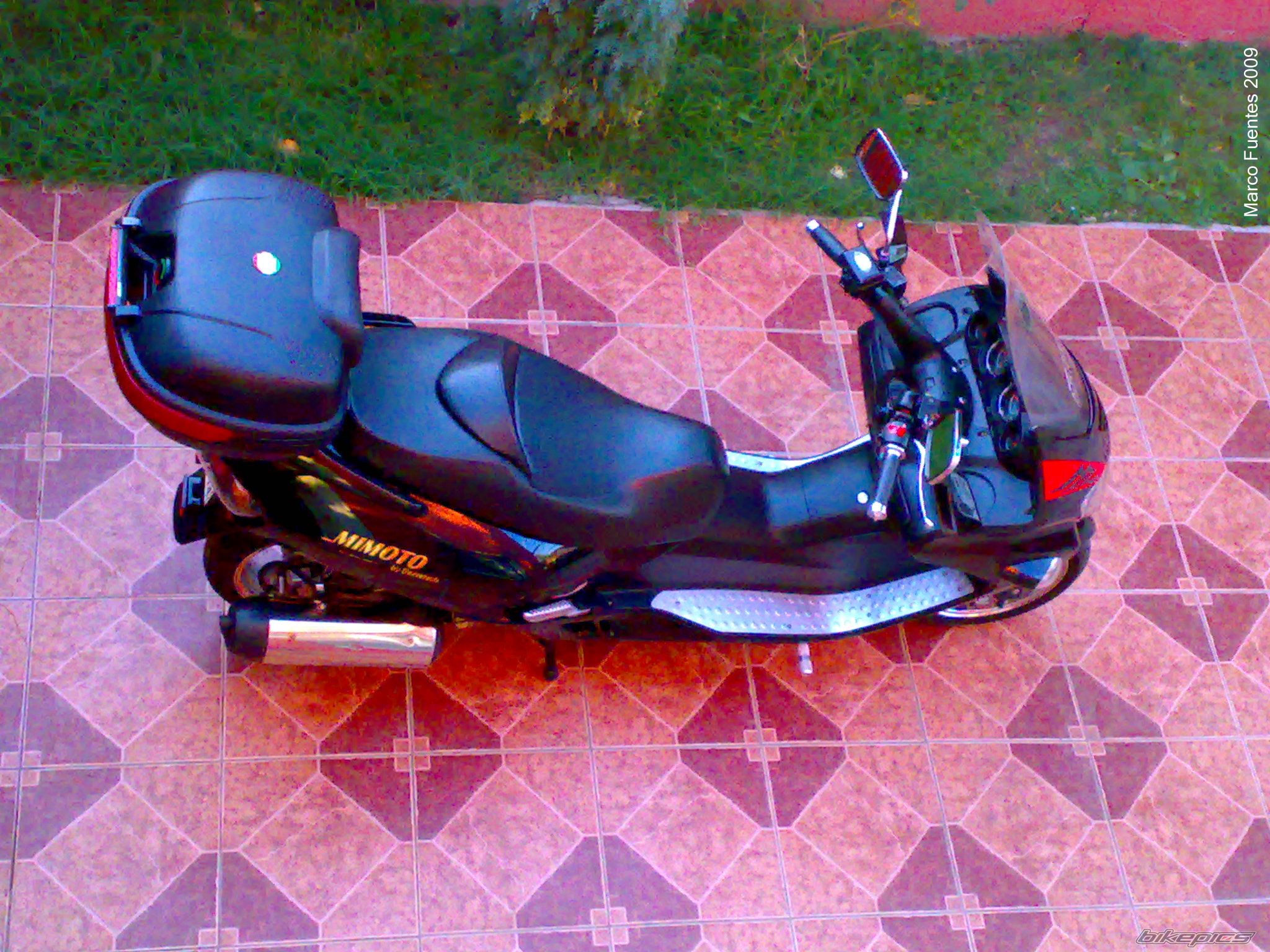 Photo 1558868