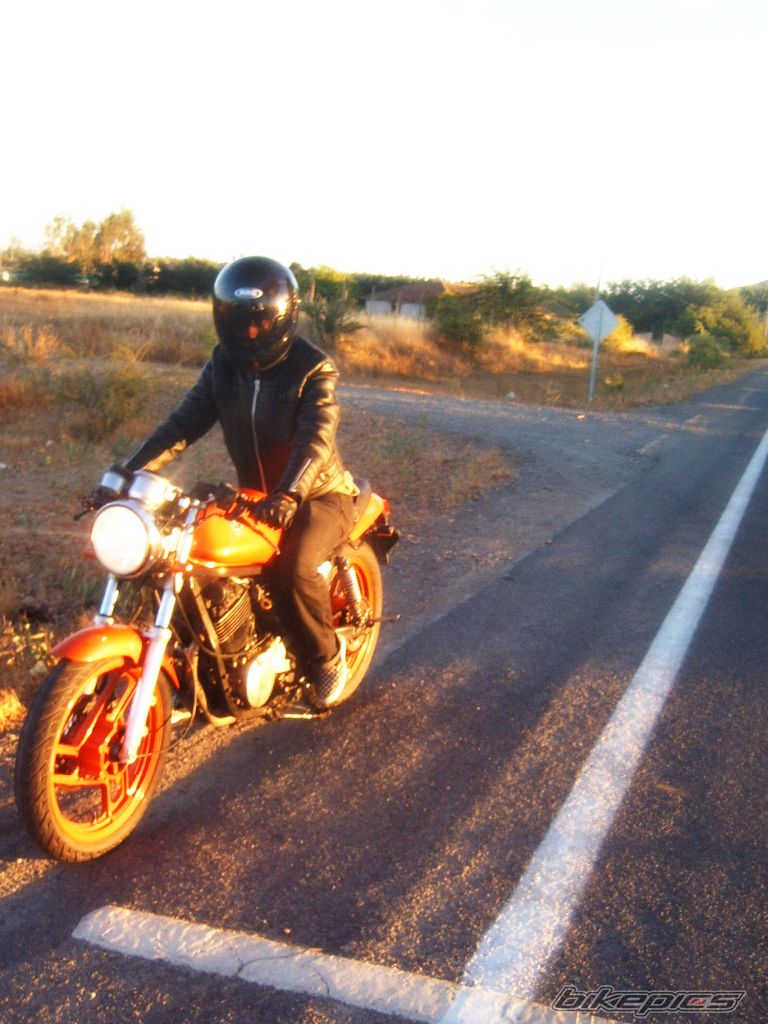 Photo 1558965
