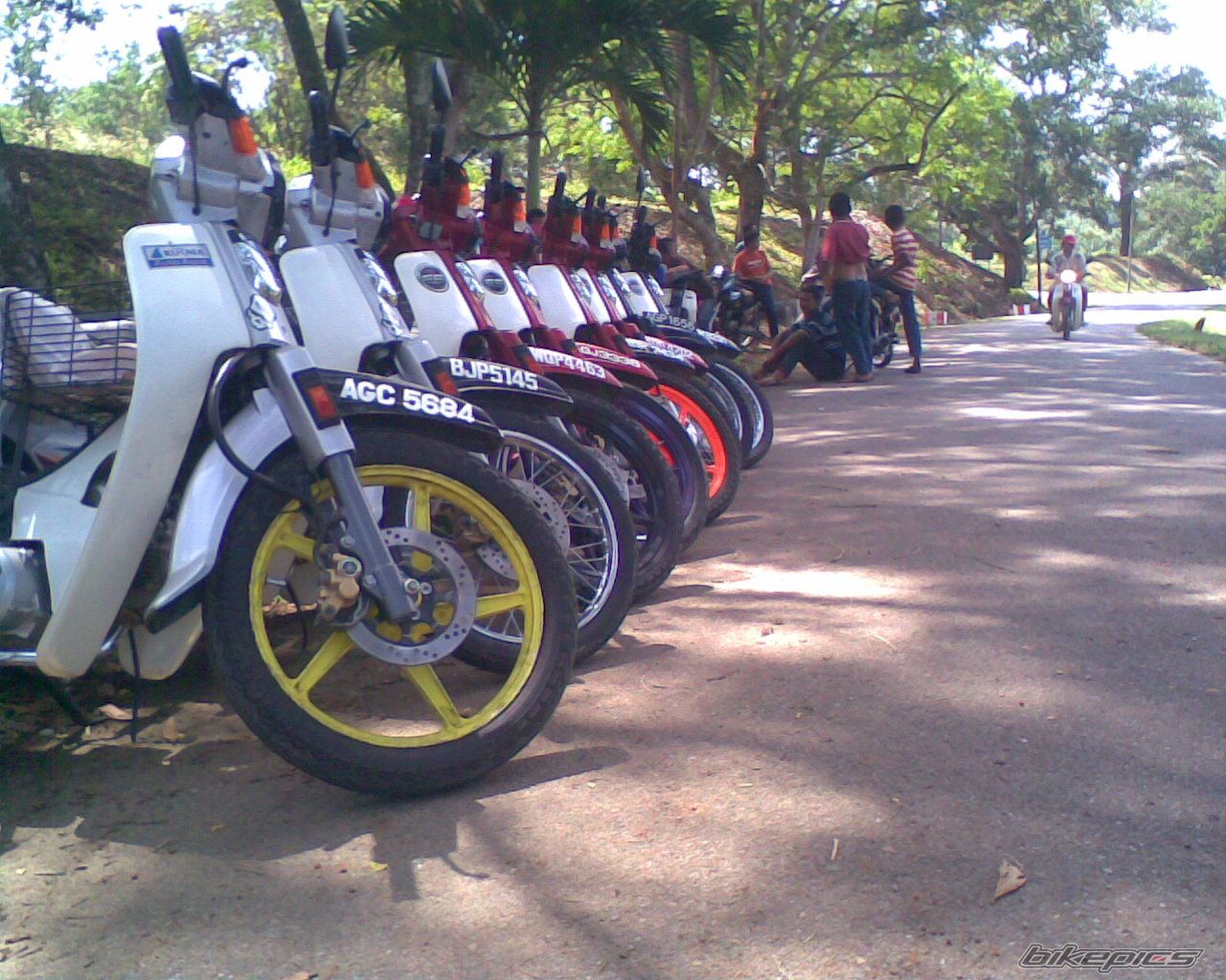 Photo 1558973