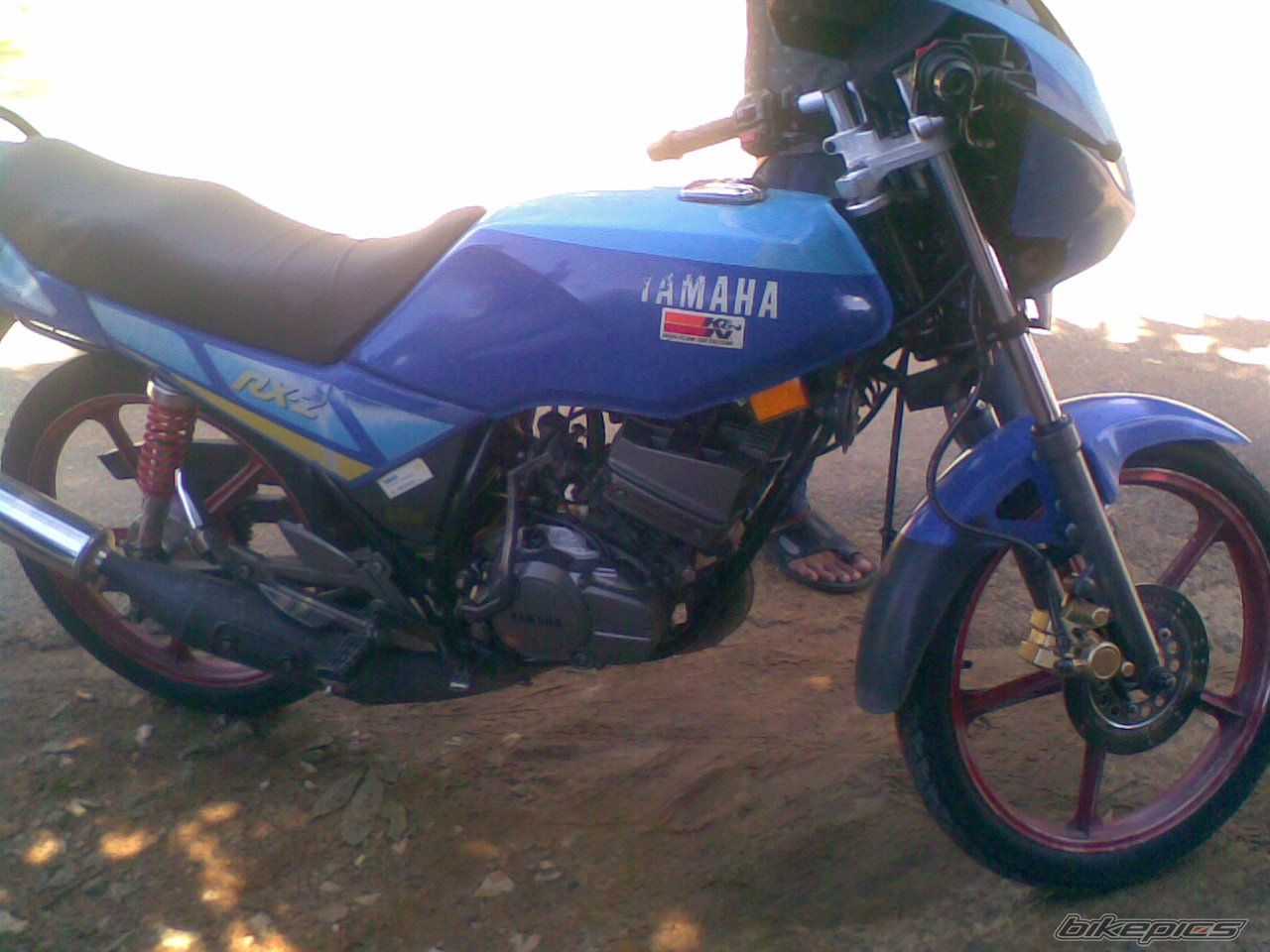 Photo 1558980