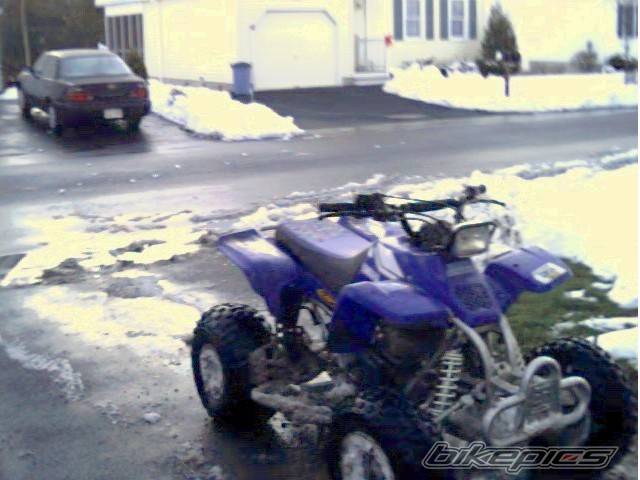 Photo 15591