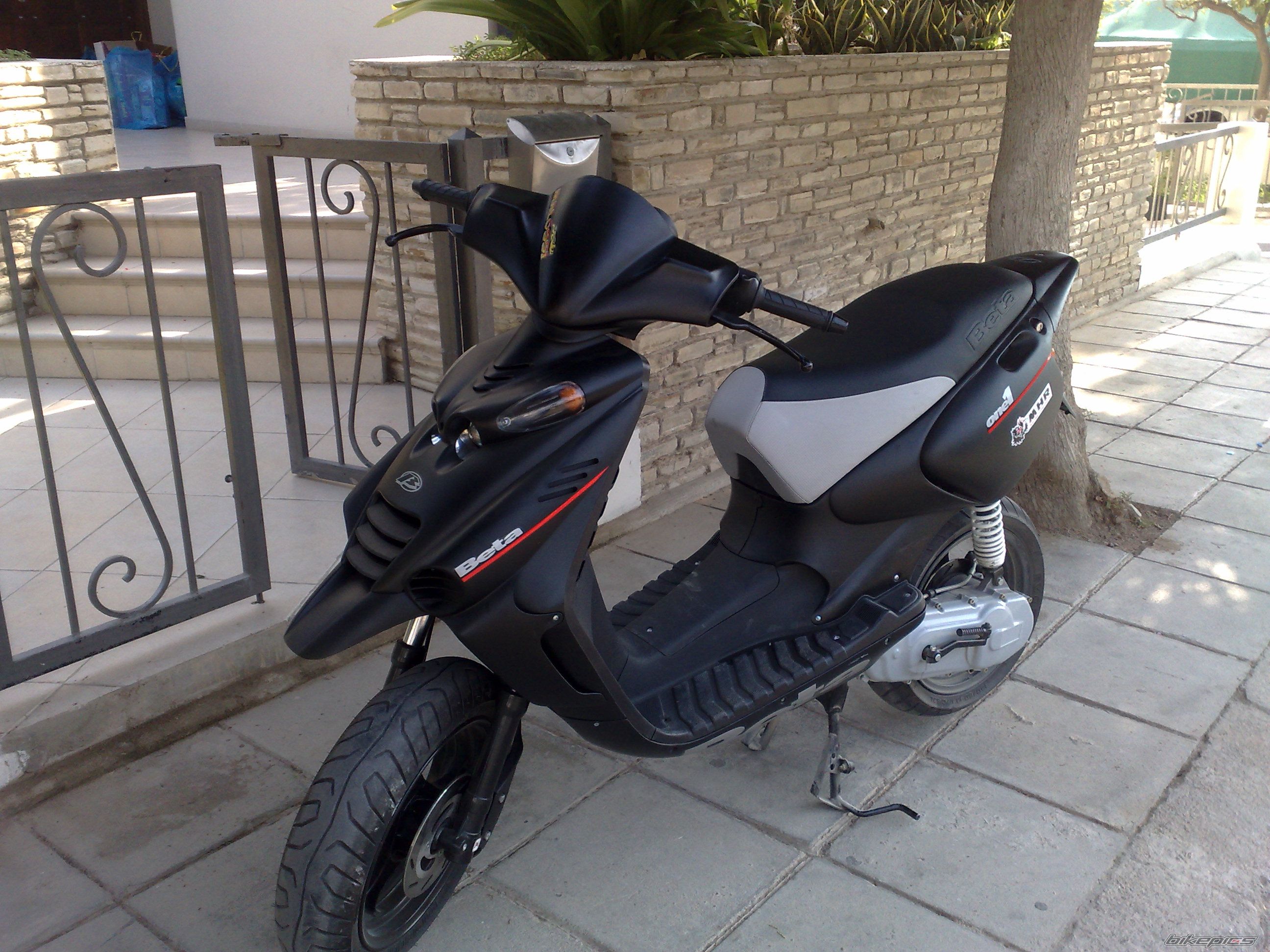 Photo 1559154