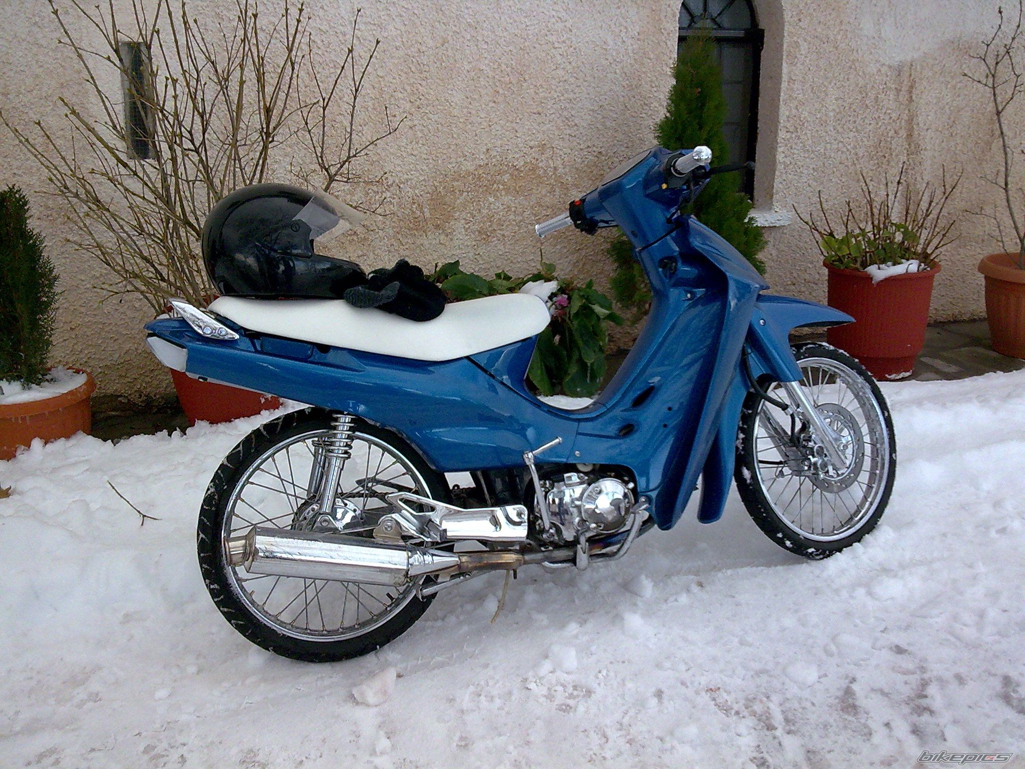 Photo 1559159