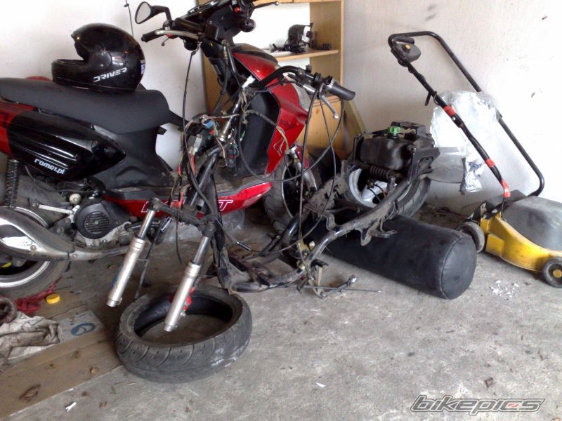 Photo 1559191