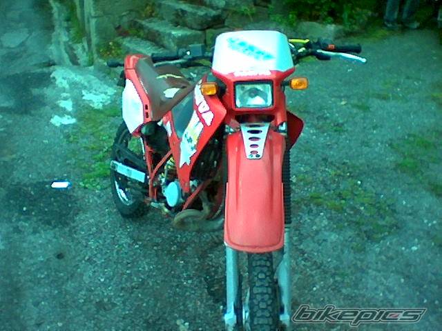 Photo 155924
