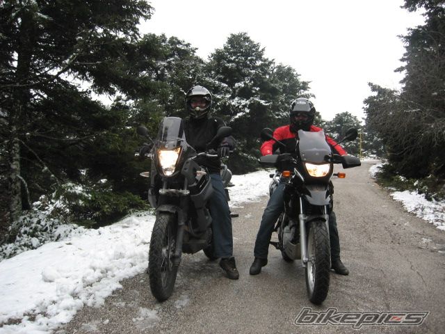 Photo 1559302
