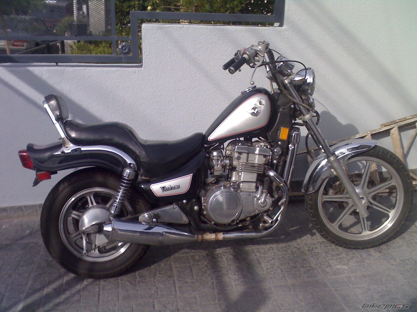 Photo 1559317