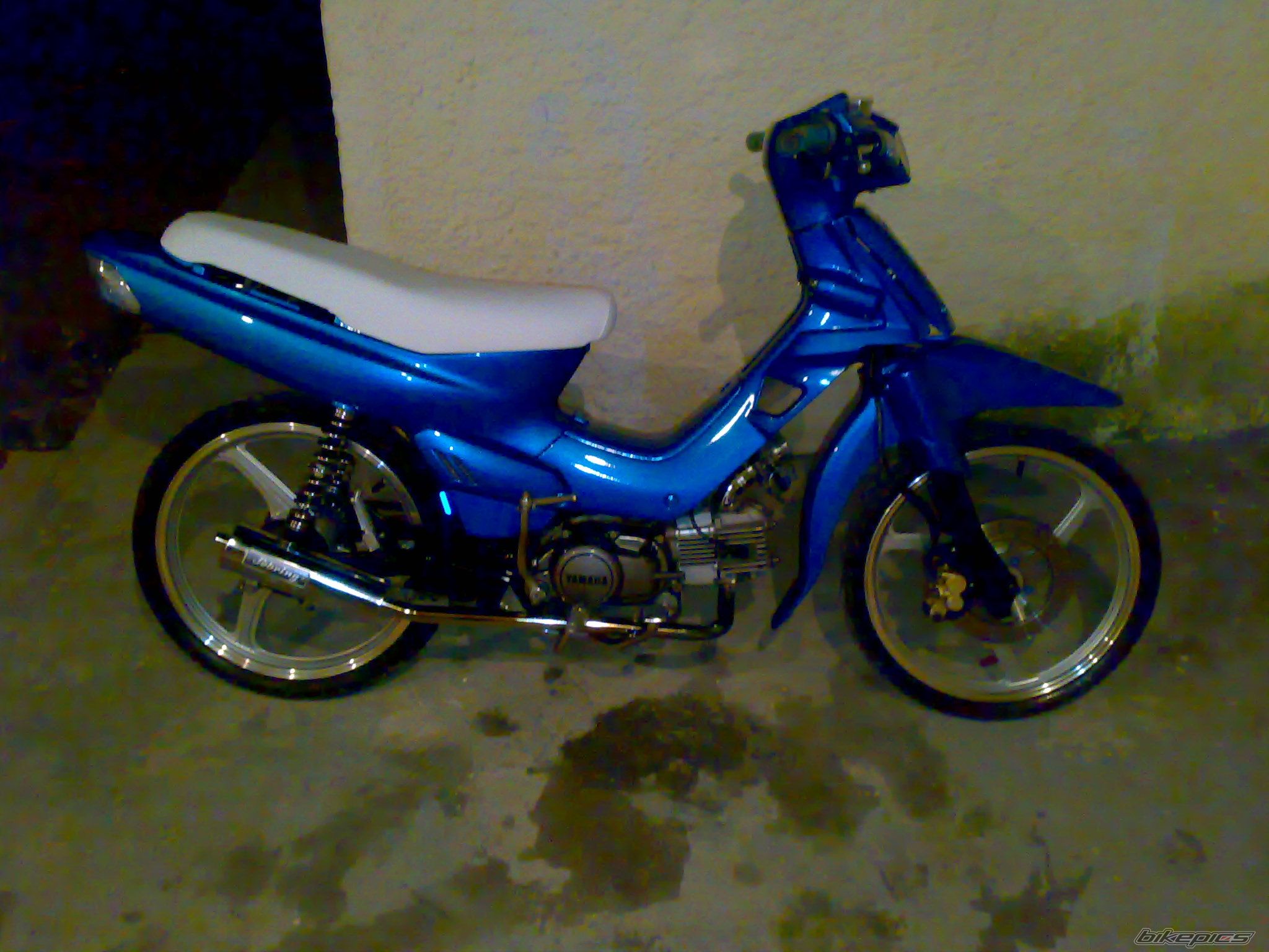 Photo 1559331
