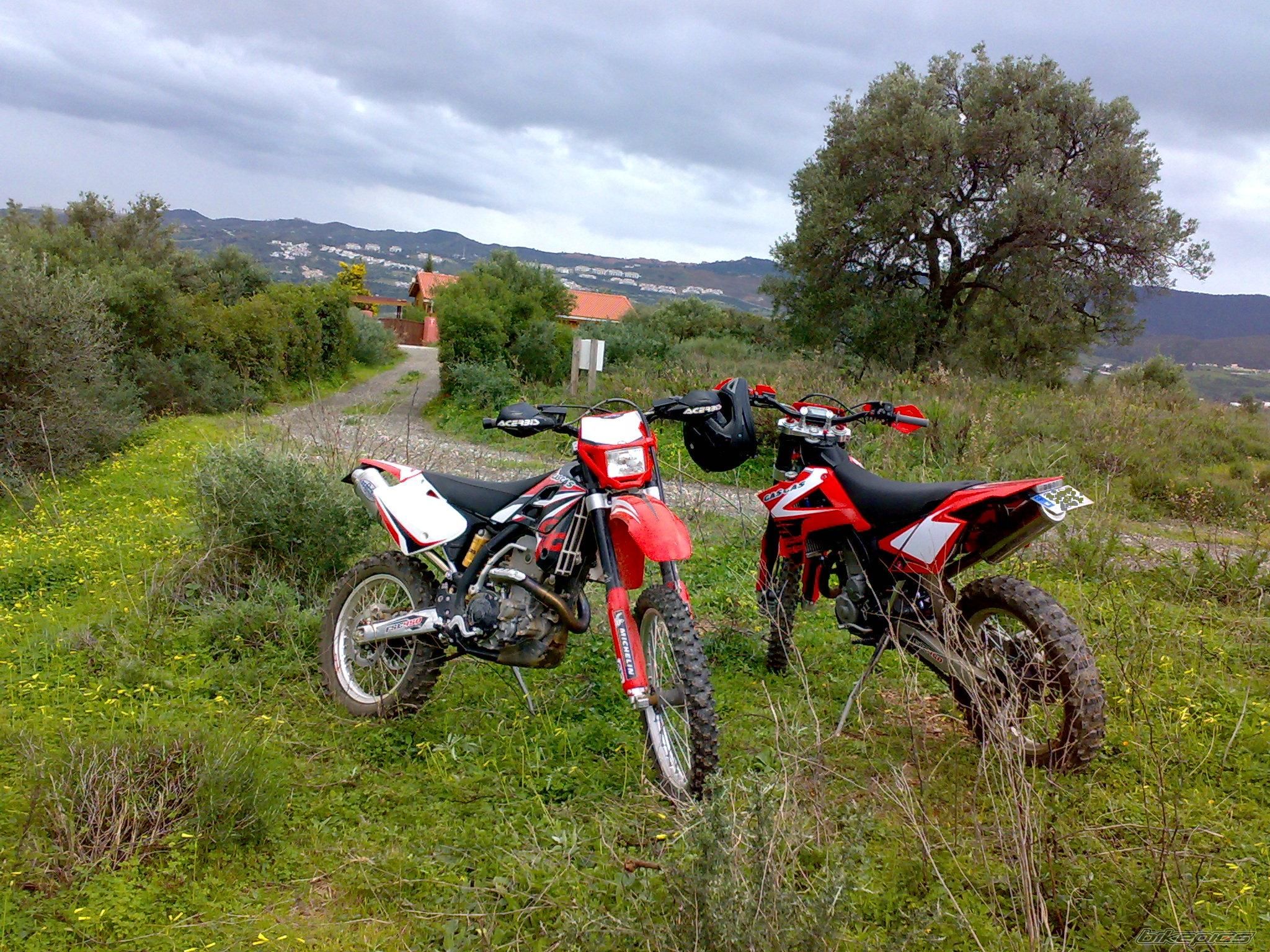 Photo 1559409