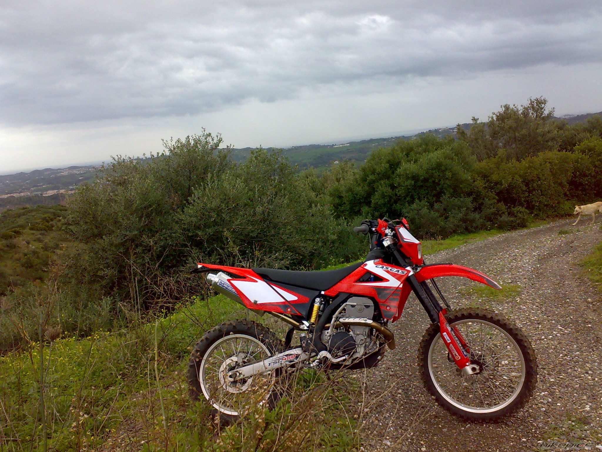 Photo 1559413