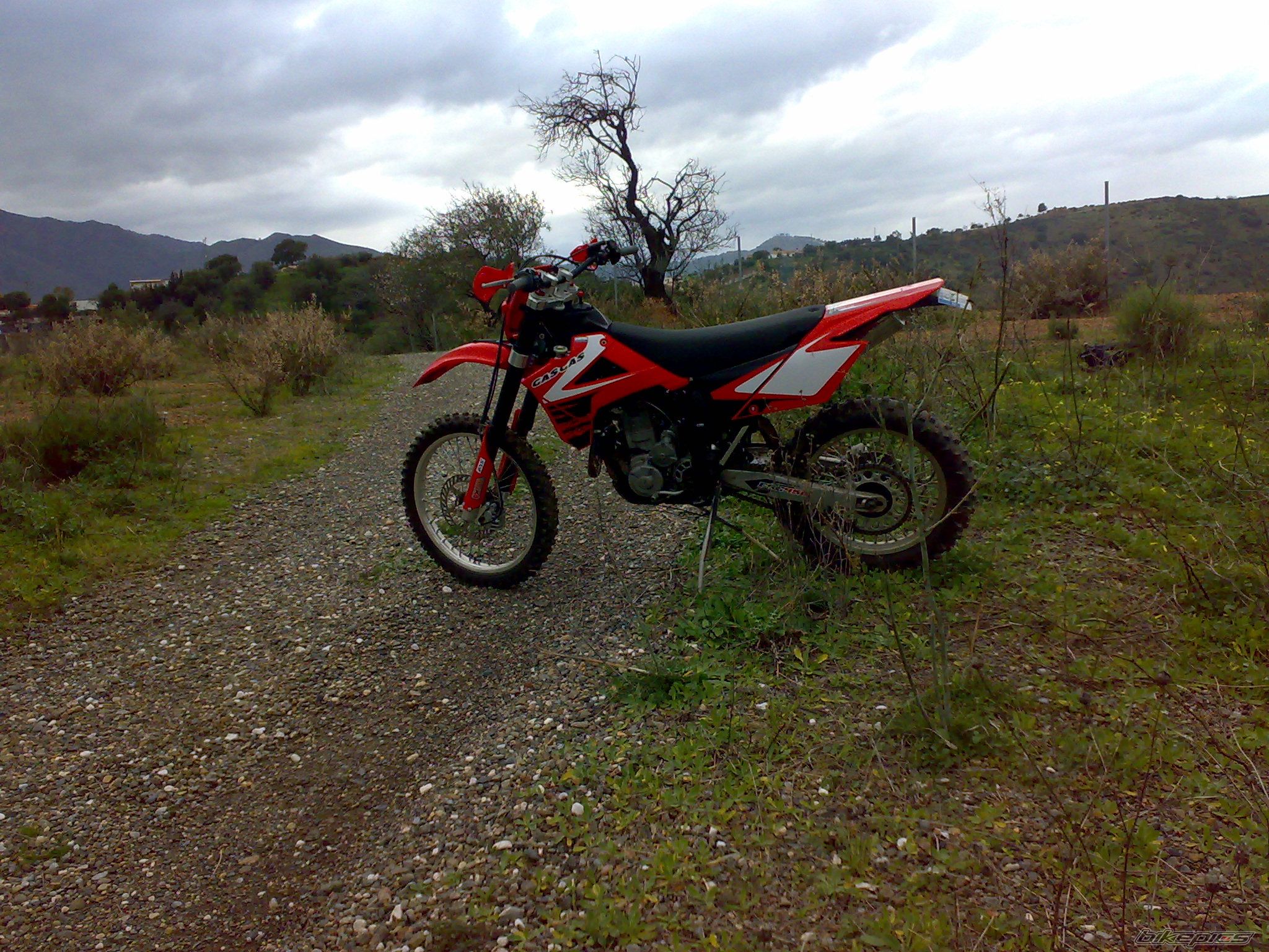 Photo 1559418