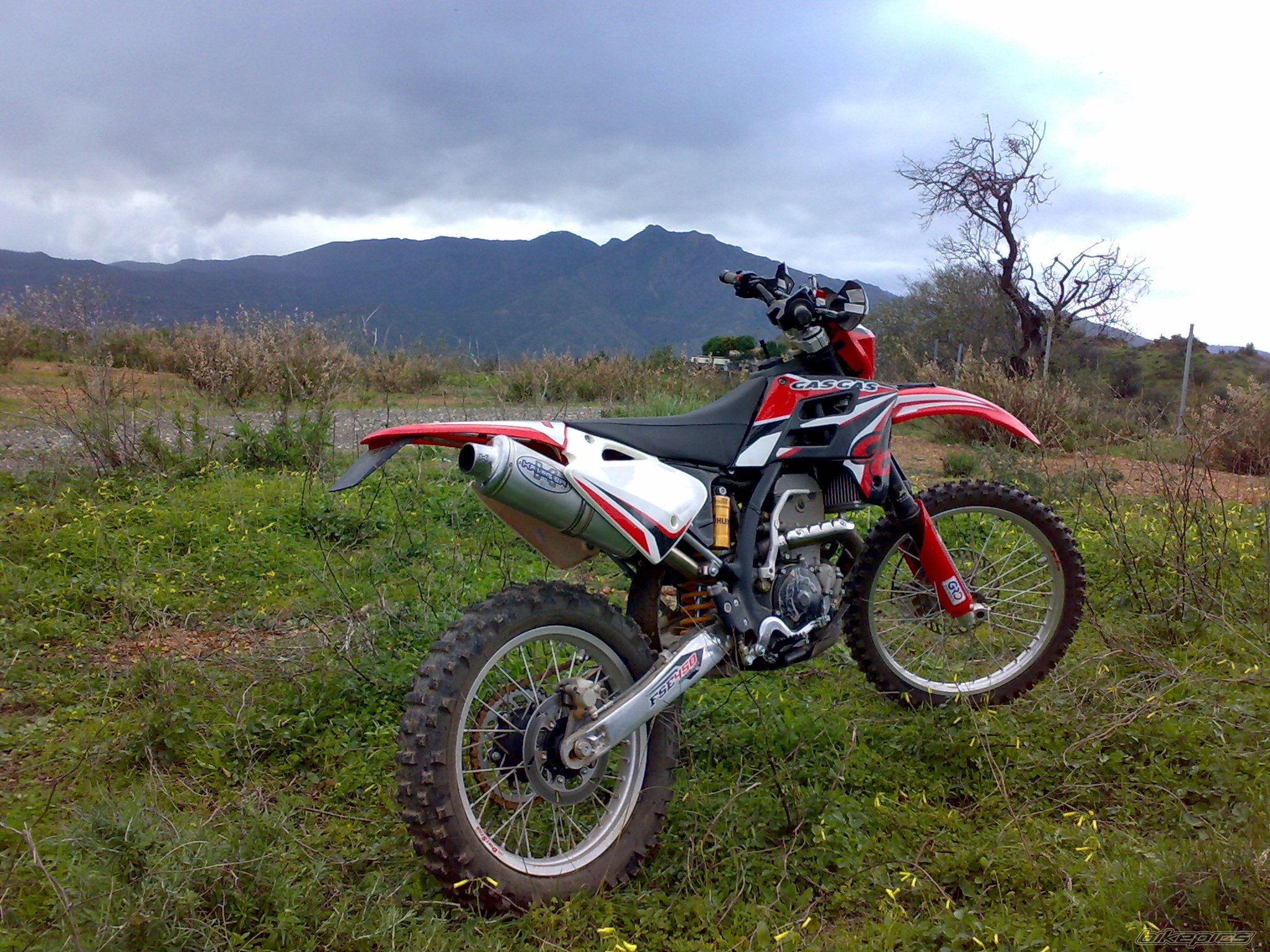 Photo 1559427