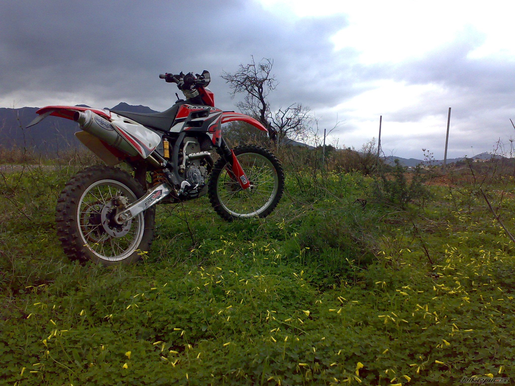 Photo 1559428