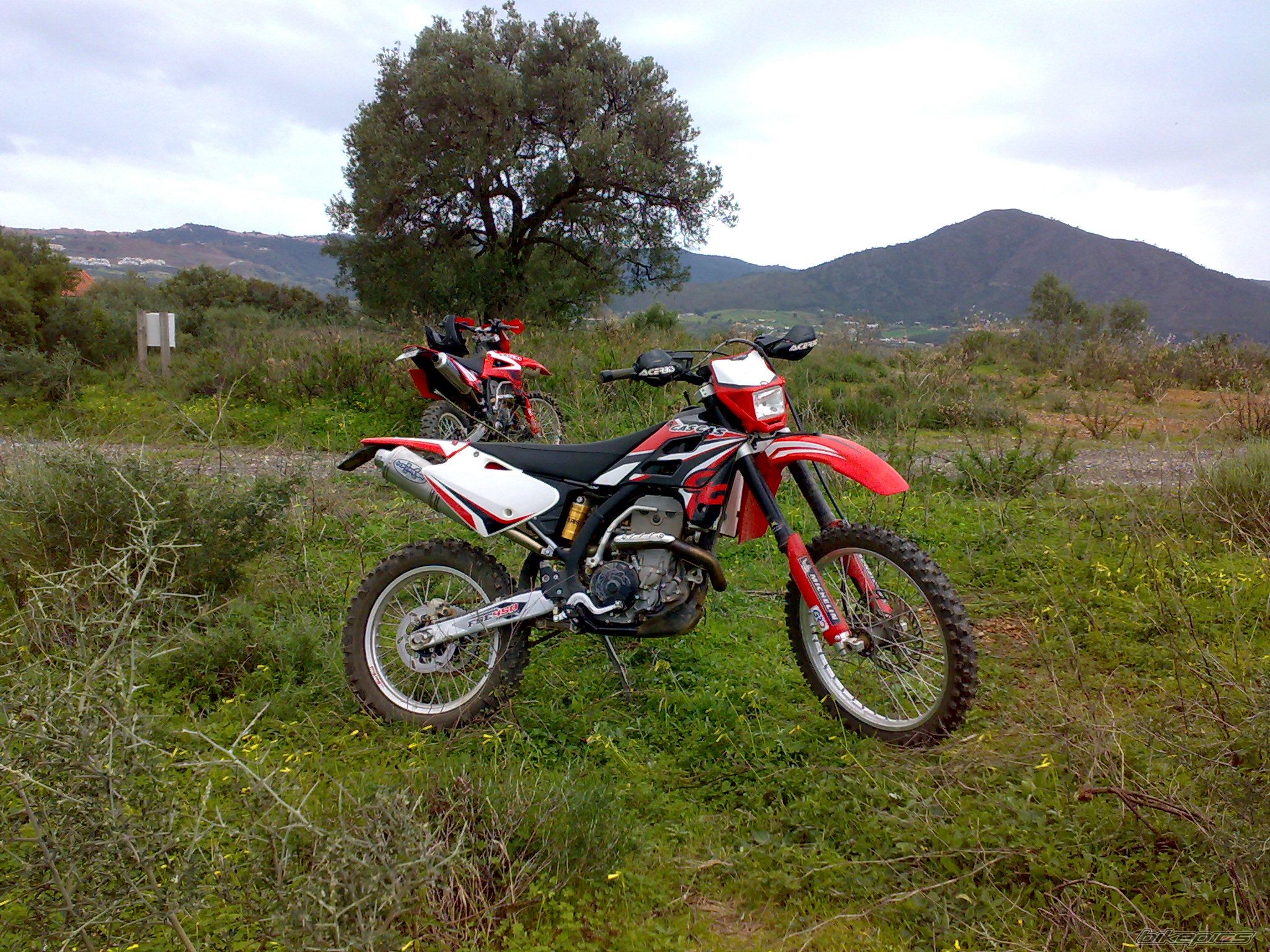 Photo 1559429