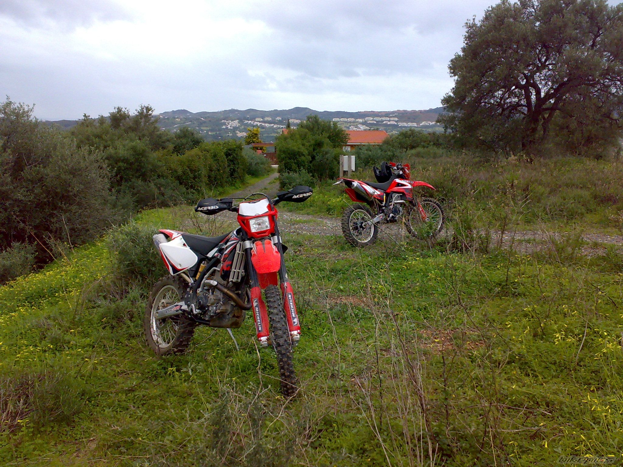 Photo 1559431