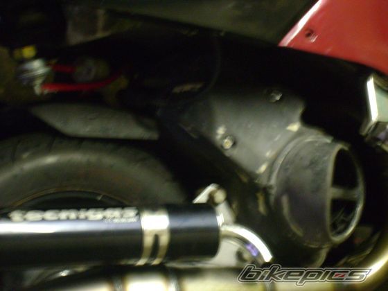 Photo 1559445
